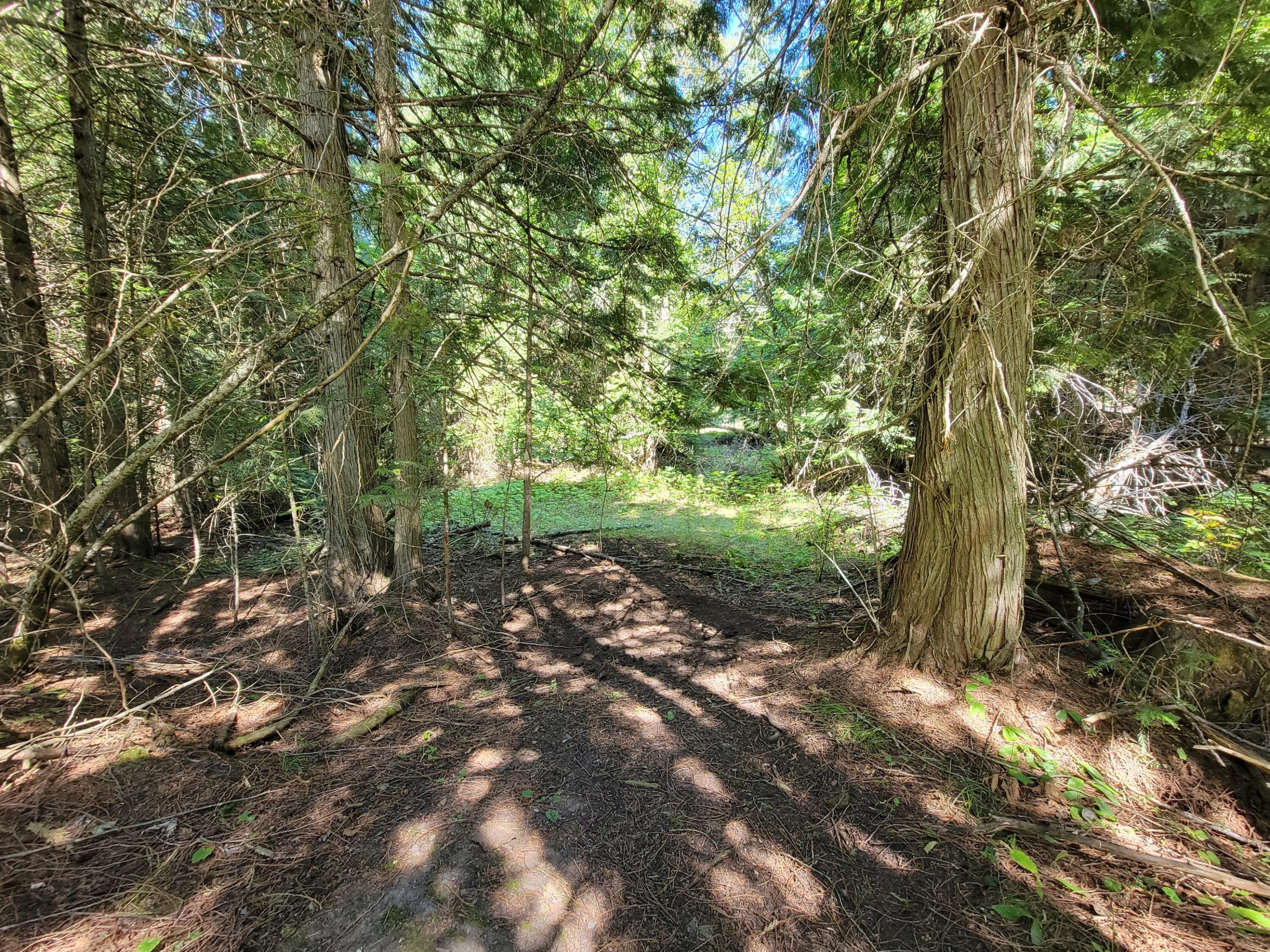 
                        Property photograph at
                        TBD LONE RANCH RD
                      