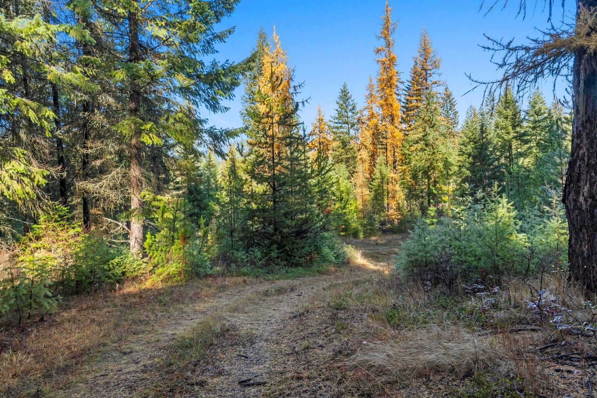 
                        Property photograph at
                        2094 CLUGSTON ONION CREEK RD
                      