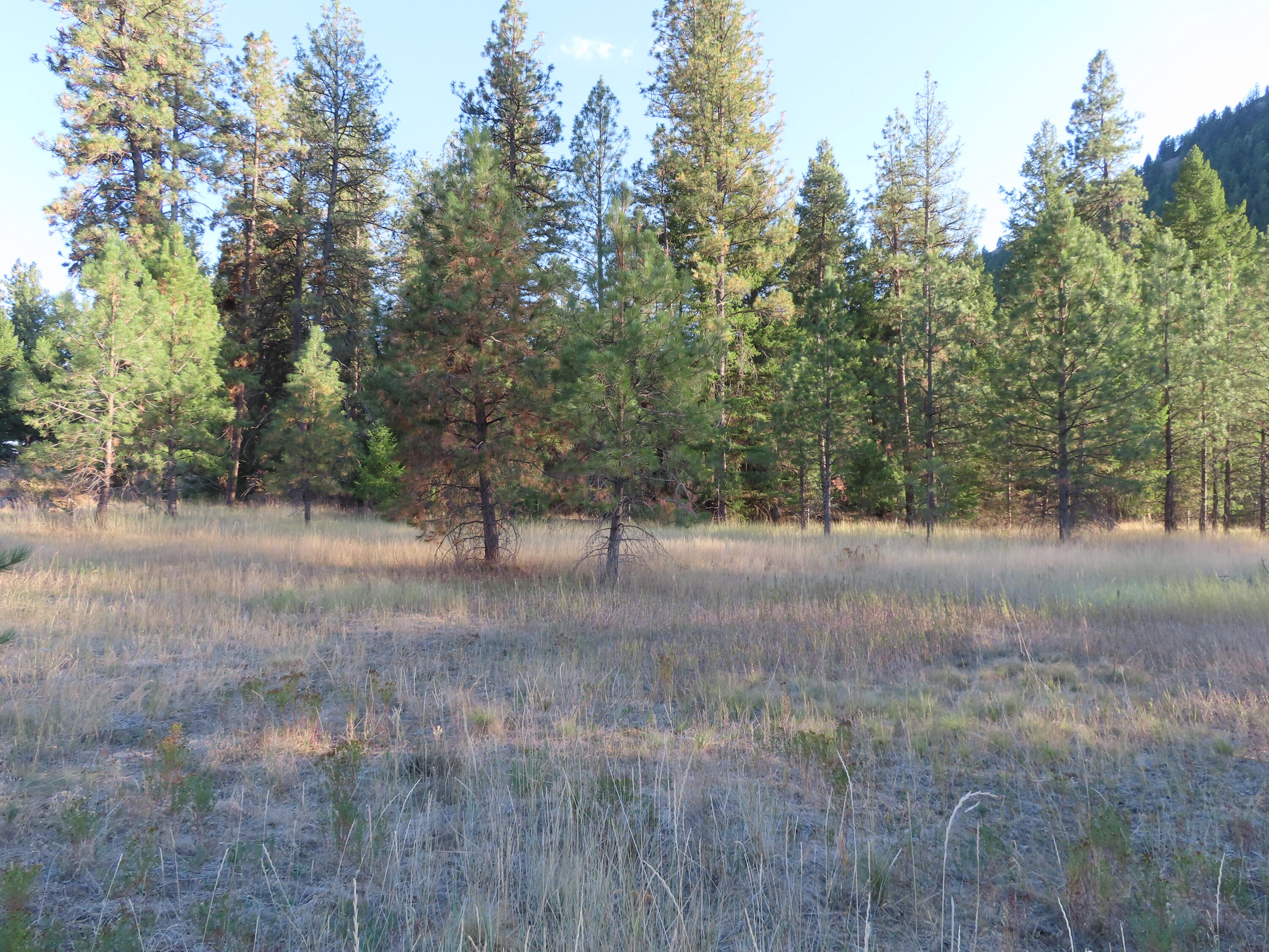 
                        Property photograph at
                        TBD TORODA CREEK RD
                      