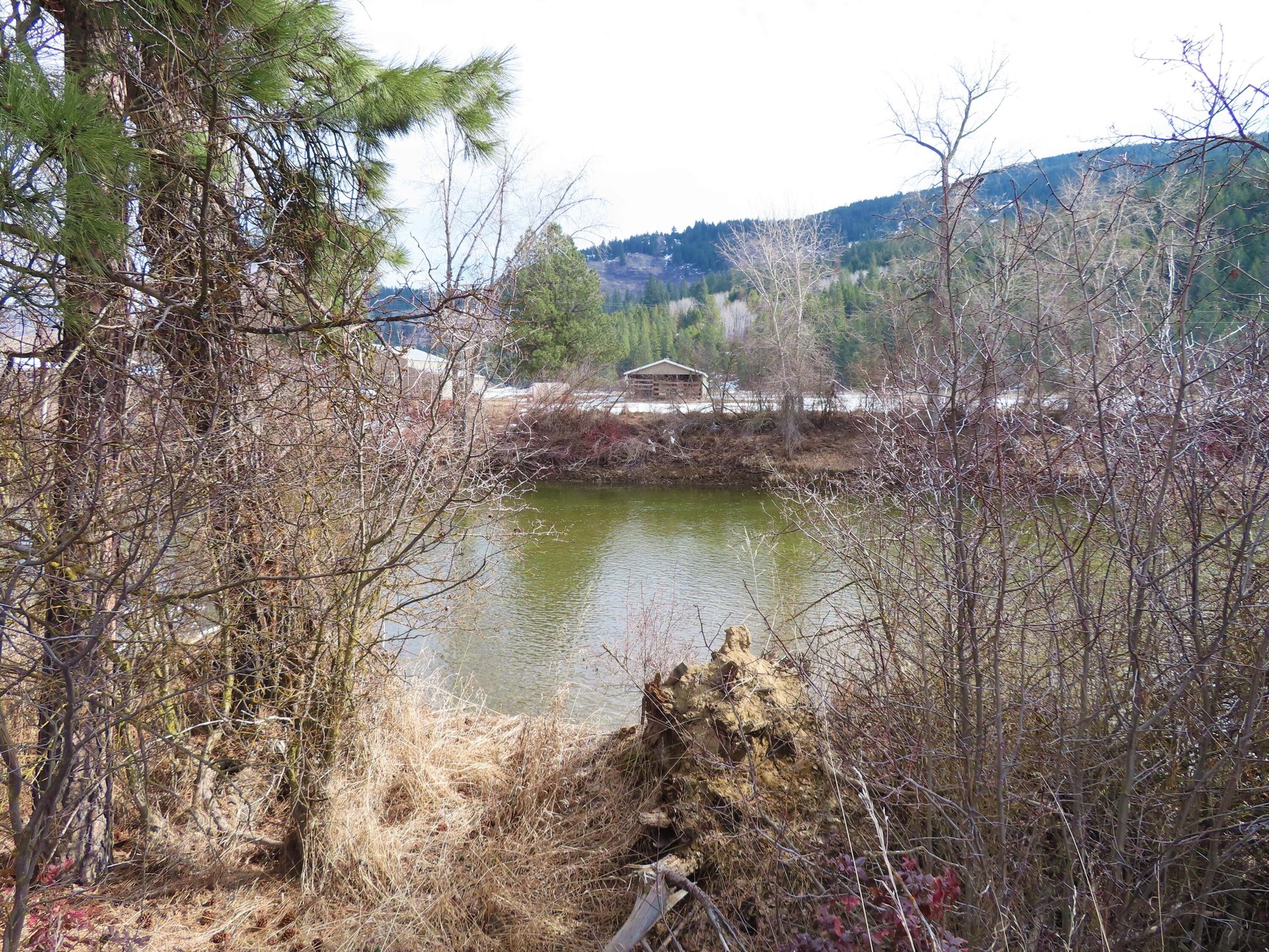 
                        Property photograph at
                        TBD HIGHWAY 21 N
                      
