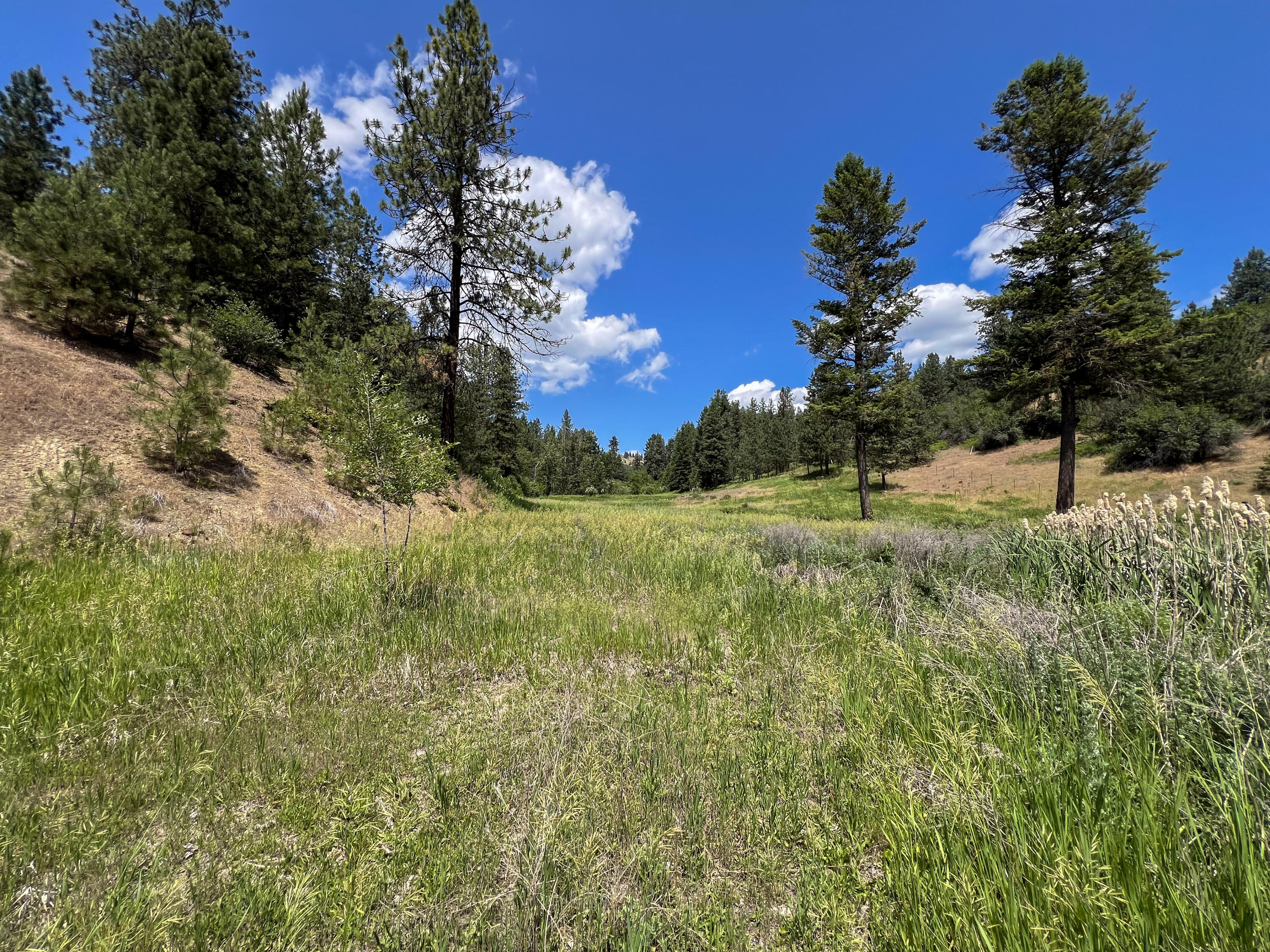 
                        Property photograph at
                        598 N HWY 395
                      