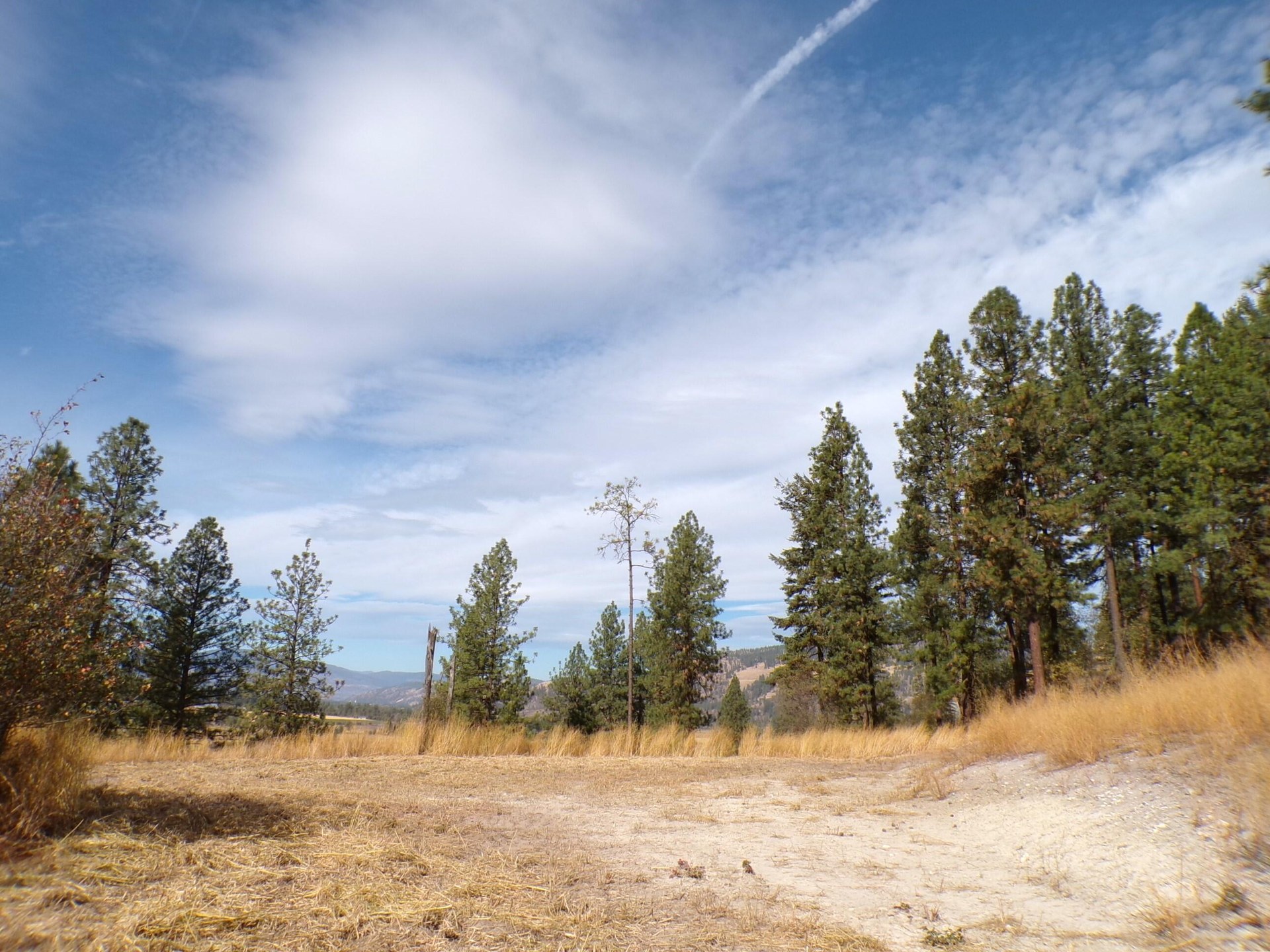 
                        Property photograph at
                        2XX HWY 395 N
                      