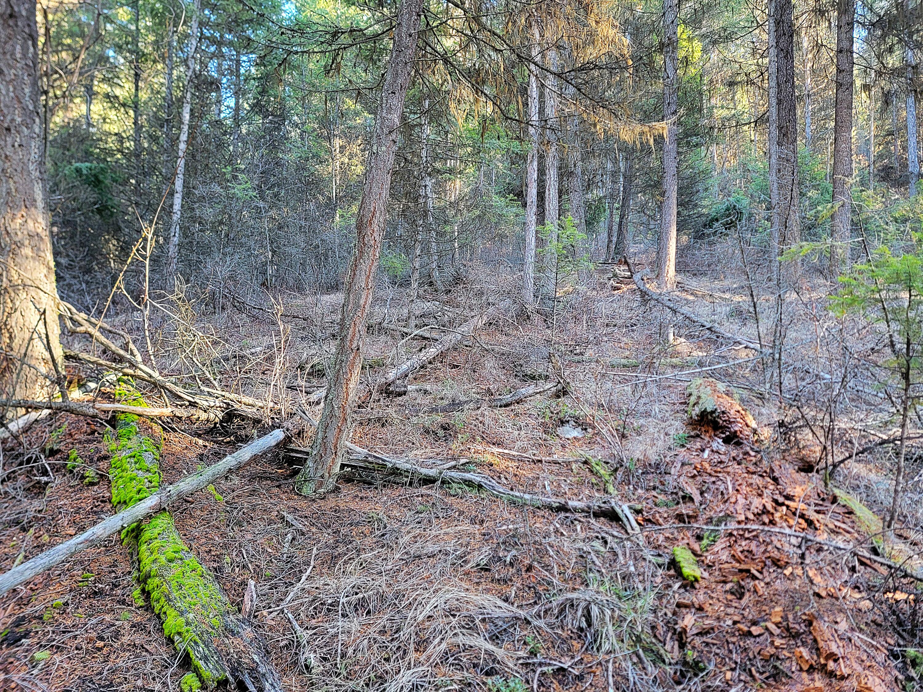
                        Property photograph at
                        TBD LUNDIMO MEADOW RD
                      