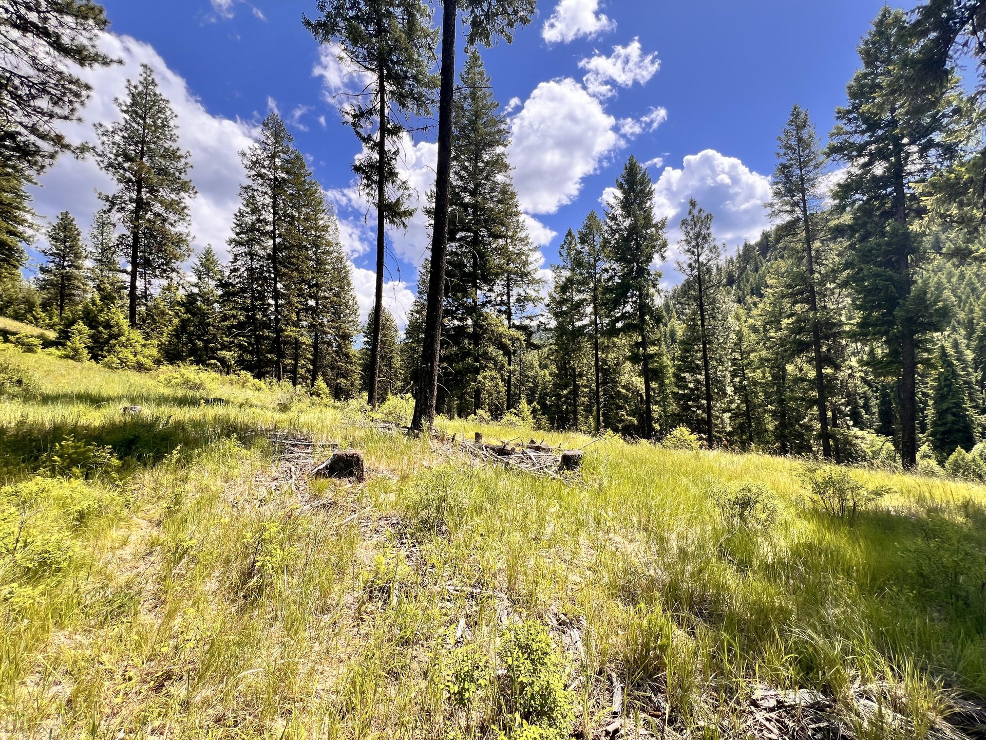 
                        Property photograph at
                        TBD OLD KETTLE FALLS RD
                      
