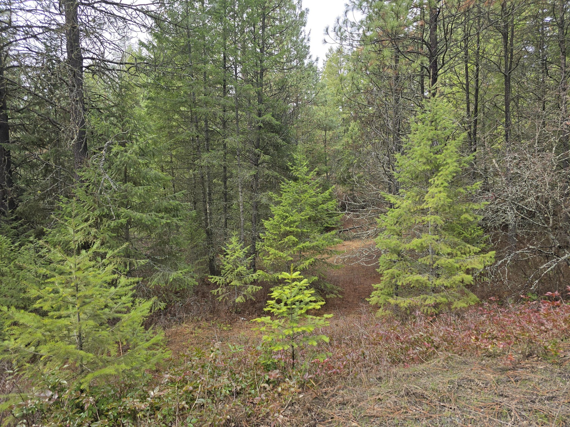 
                        Property photograph at
                        3XX GOLD CREEK RD
                      