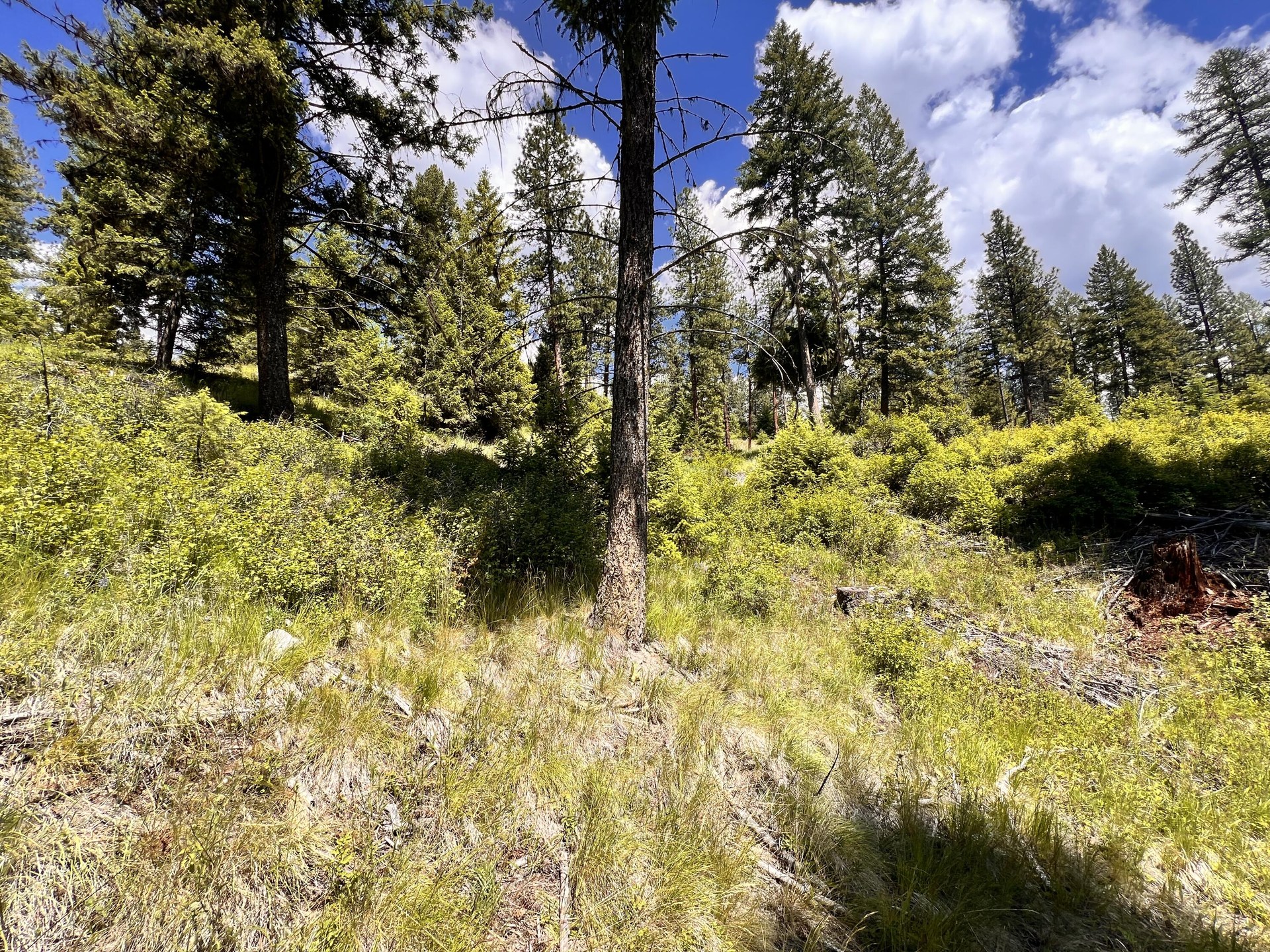 
                        Property photograph at
                        TBD OLD KETTLE FALLS RD
                      