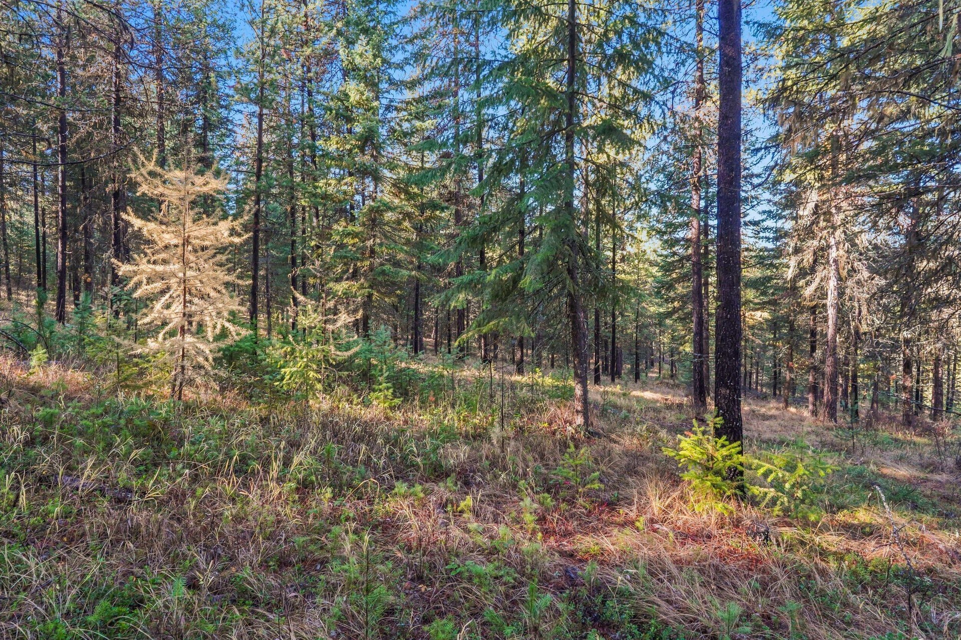 
                        Property photograph at
                        2094 CLUGSTON ONION CREEK RD
                      