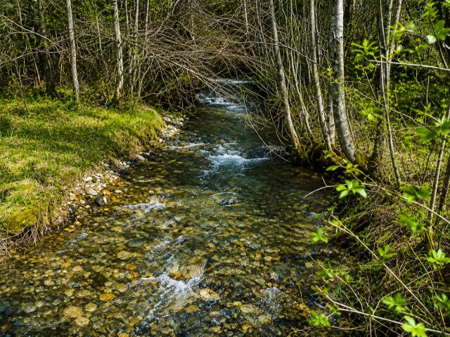 
                        Property photograph at
                        3121 FIFTEEN MILE CREEK RD
                      