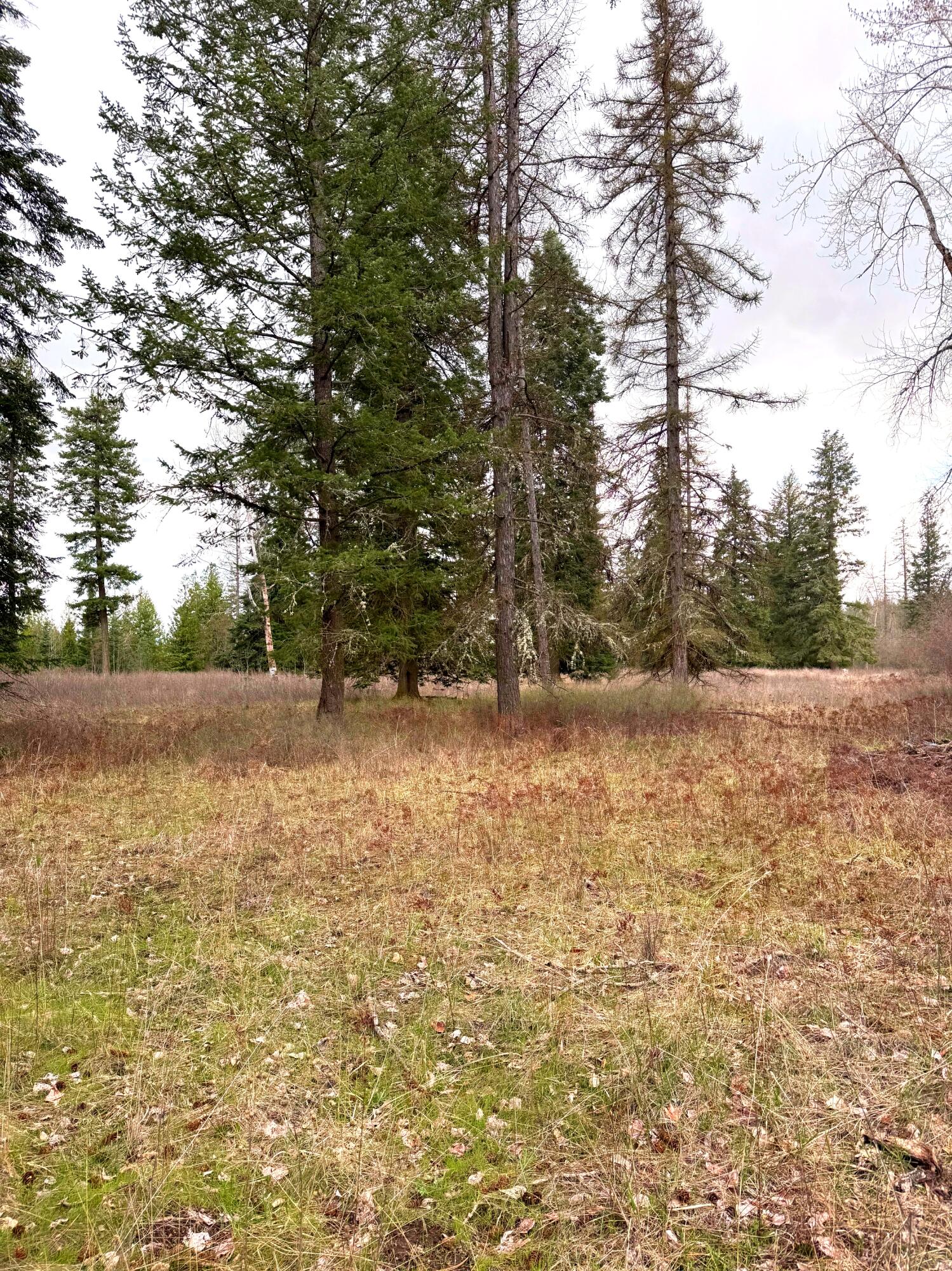 
                        Property photograph at
                        2XXX BLK E ELOIKA LAKE RD
                      