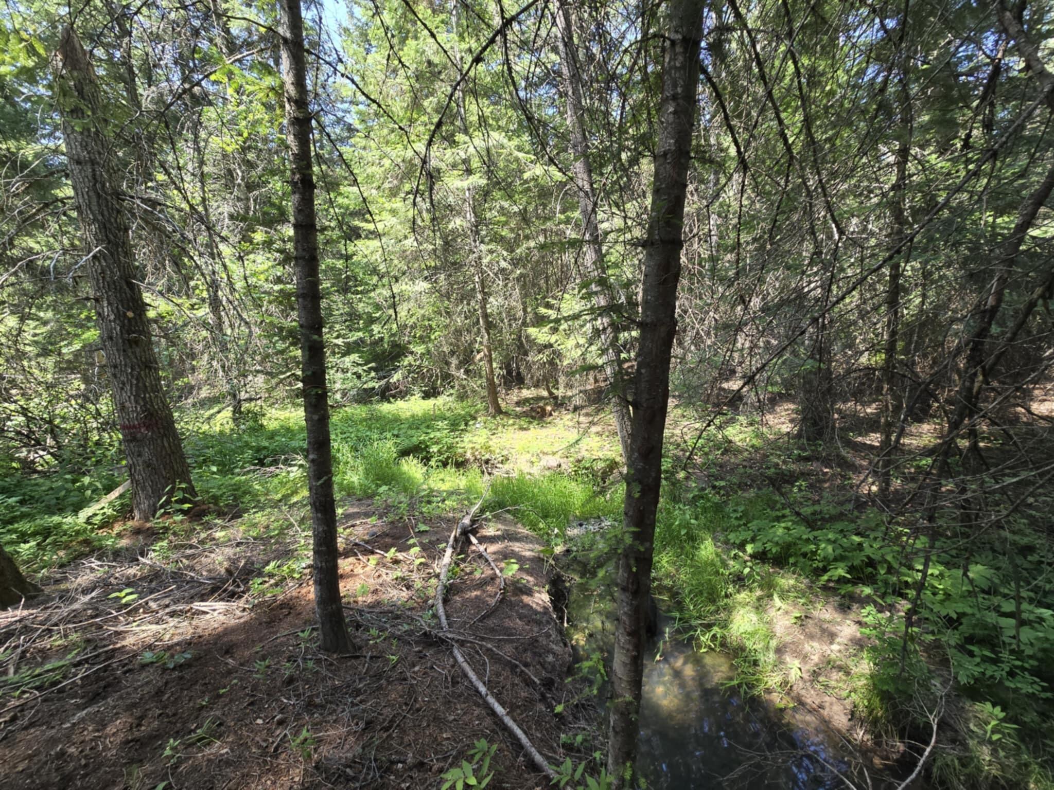 
                        Property photograph at
                        4886 GETNA WAY
                      