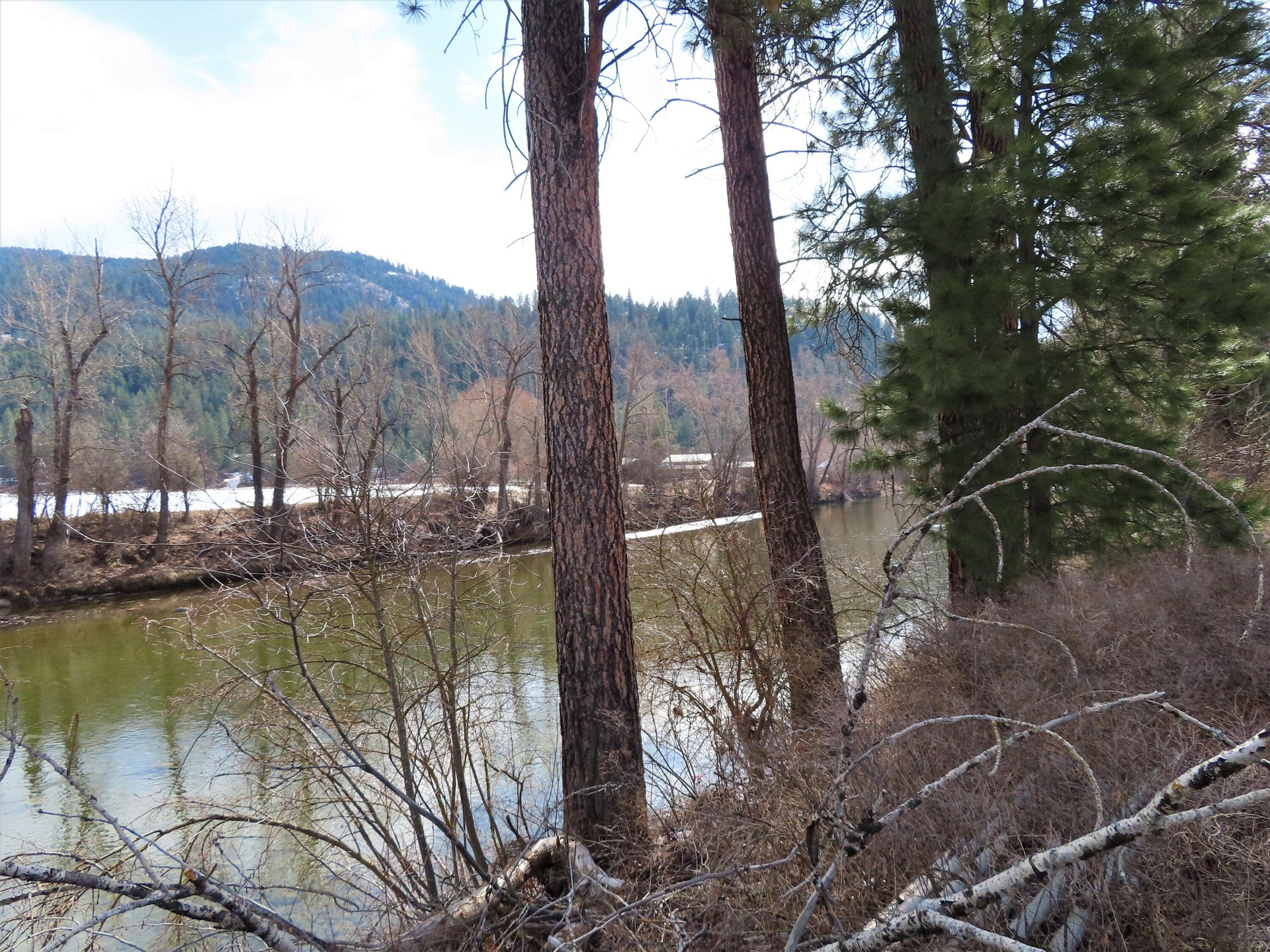 
                        Property photograph at
                        TBD HIGHWAY 21 N
                      
