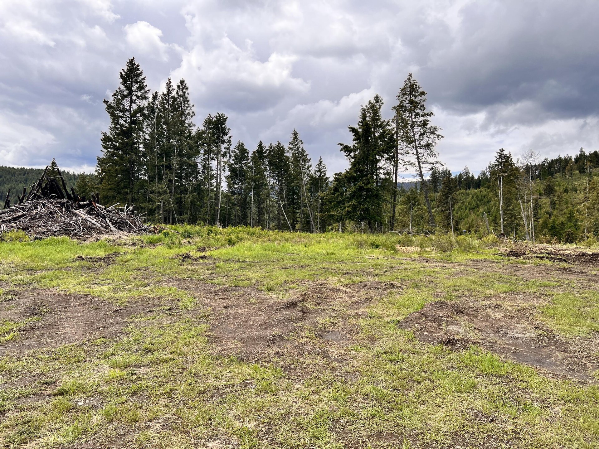 
                        Property photograph at
                        293 BIG GOOSMUS CRK RD
                      