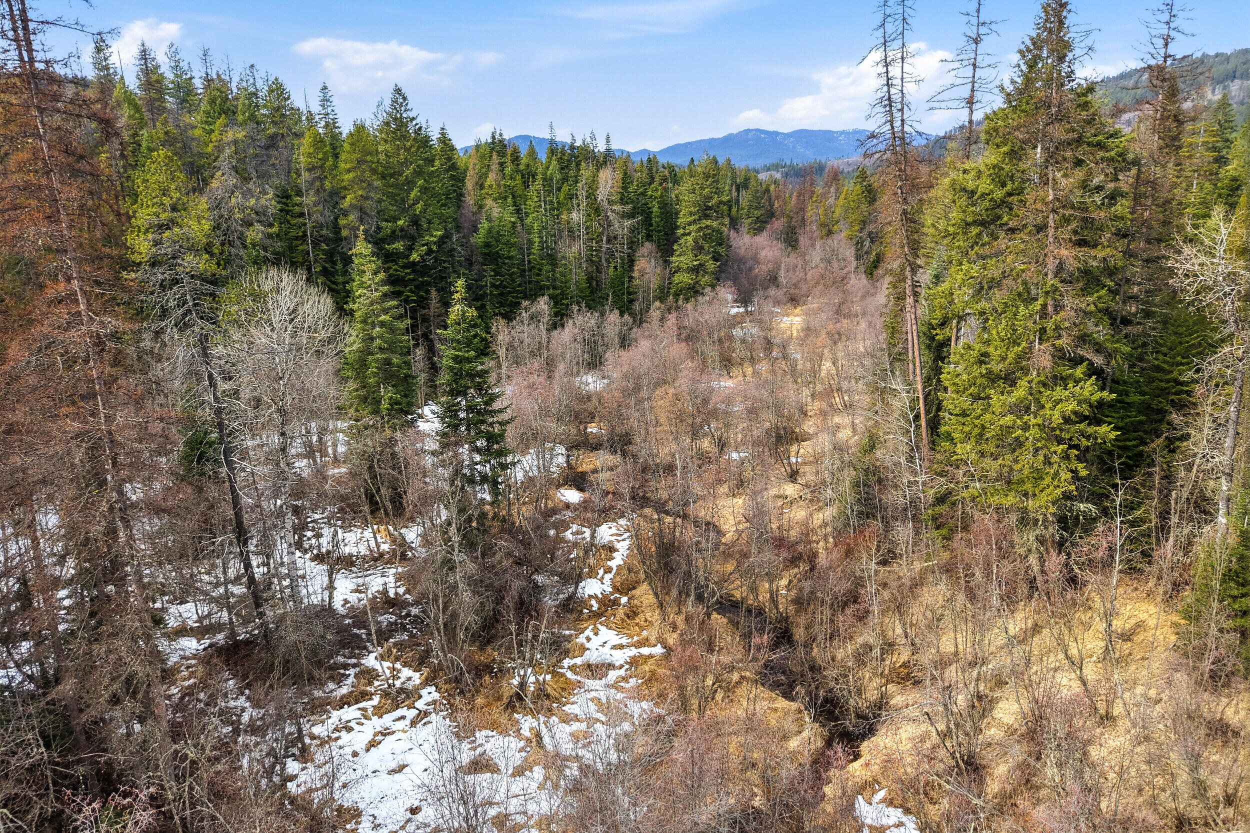 
                        Property photograph at
                        2845 BURNT VALLEY (18.5AC) RD
                      