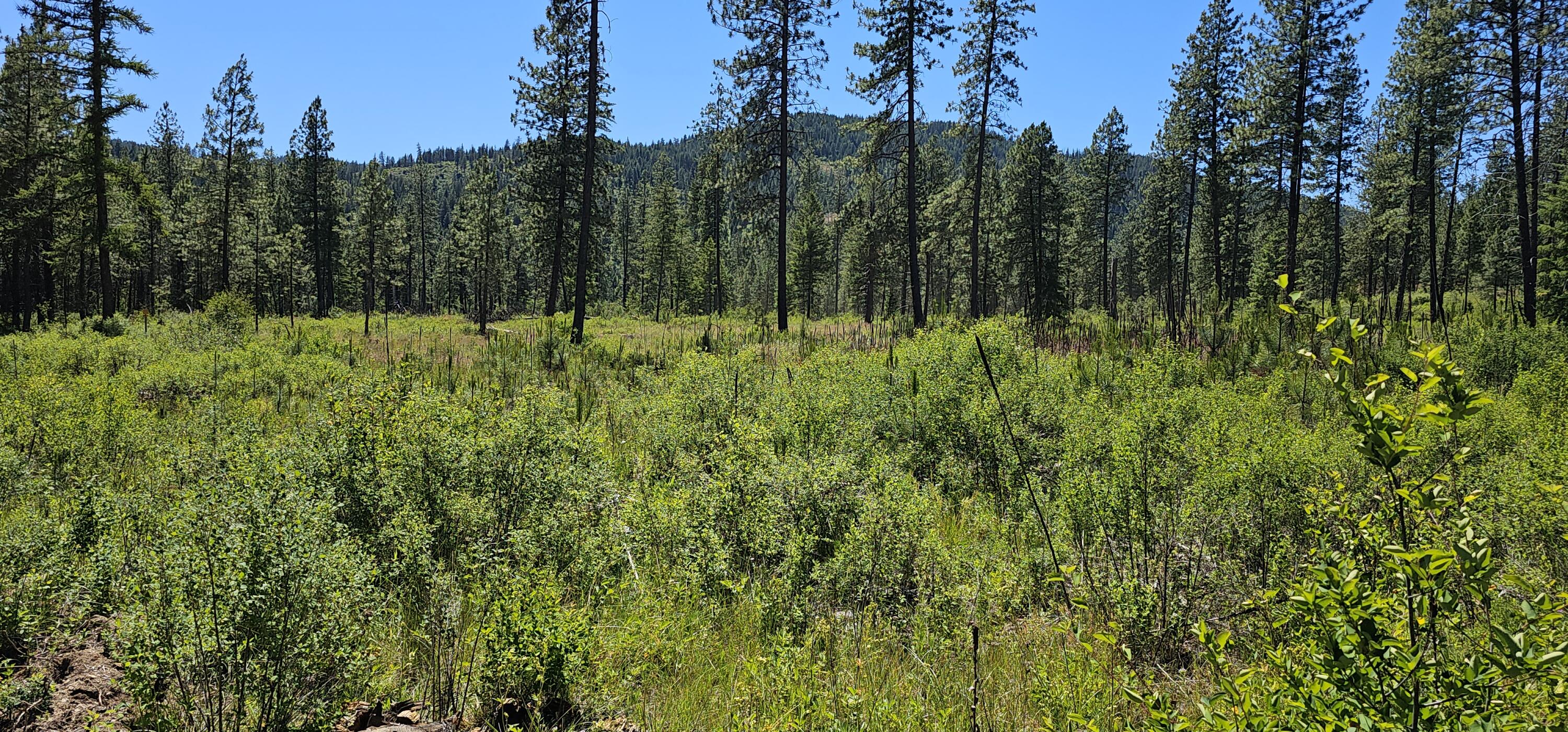 
                        Property photograph at
                        20X LYNX CREEK RD
                      