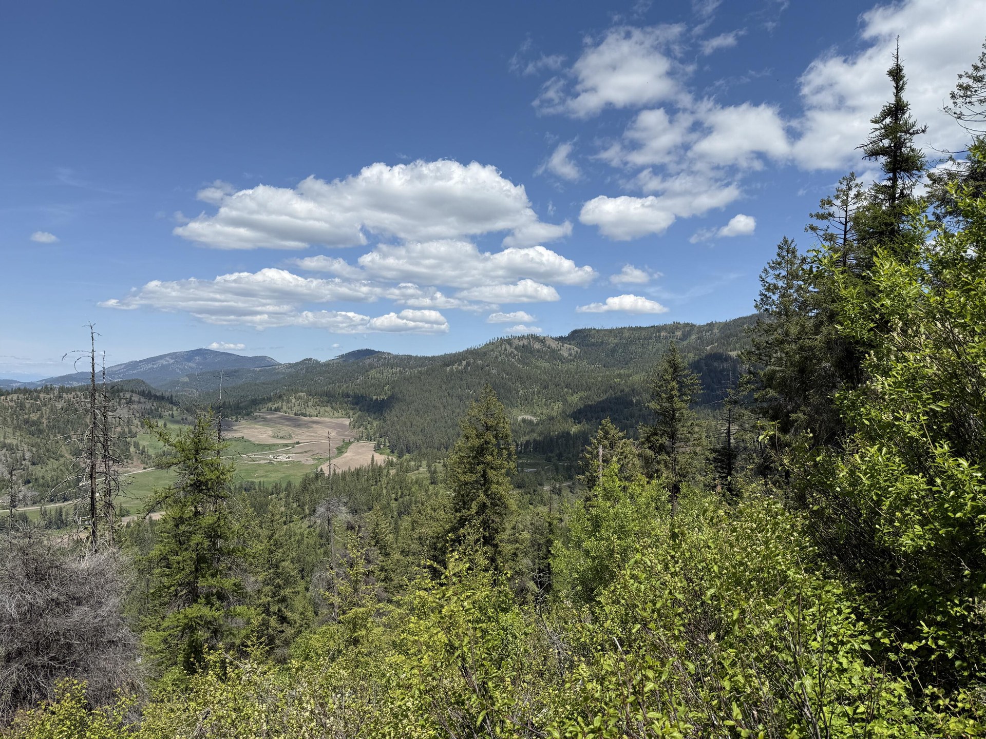 
                        Property photograph at
                        3774-C DAISY MINE RD
                      