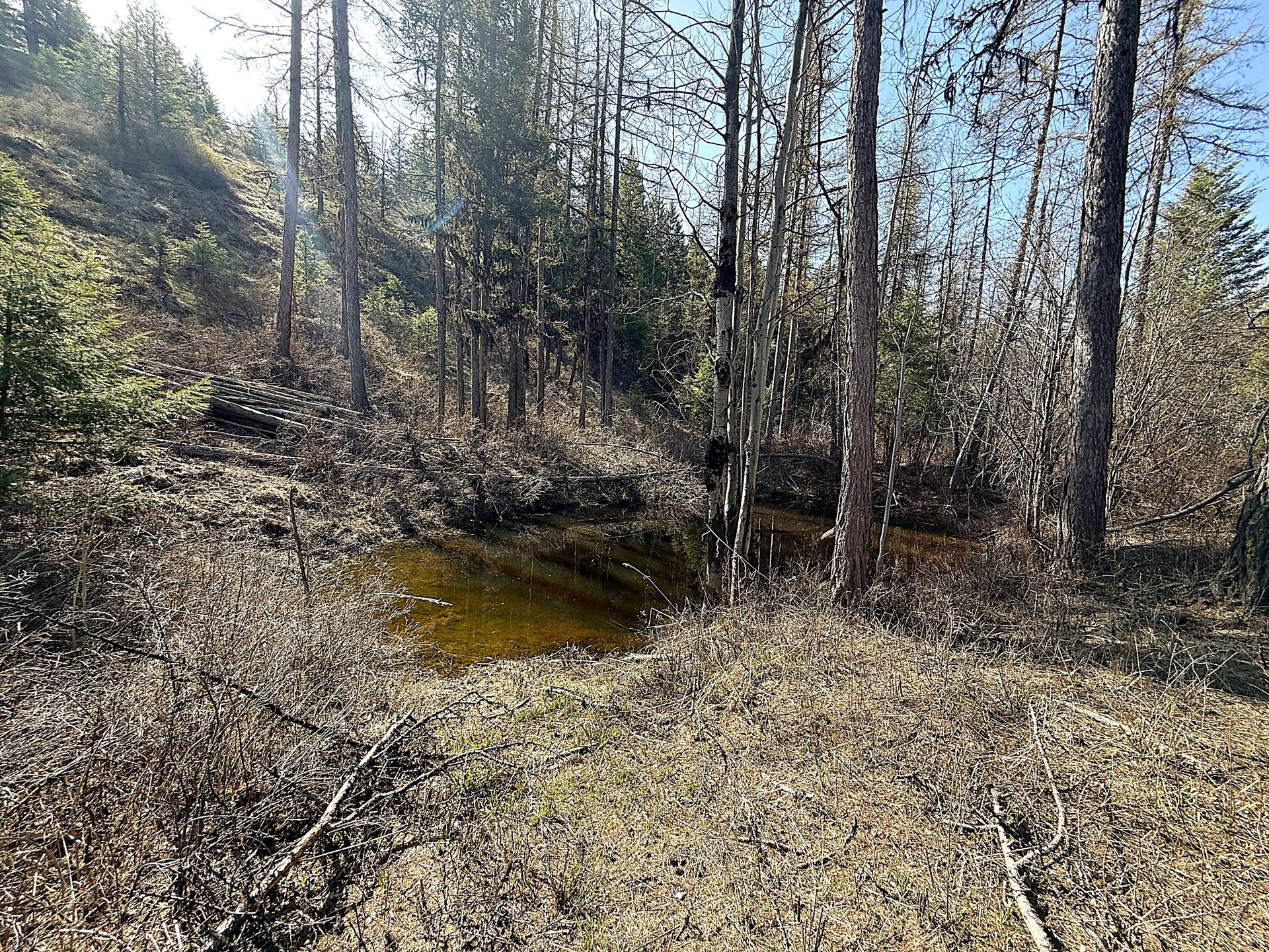
                        Property photograph at
                        TBD GIVEOUT CREEK RD
                      