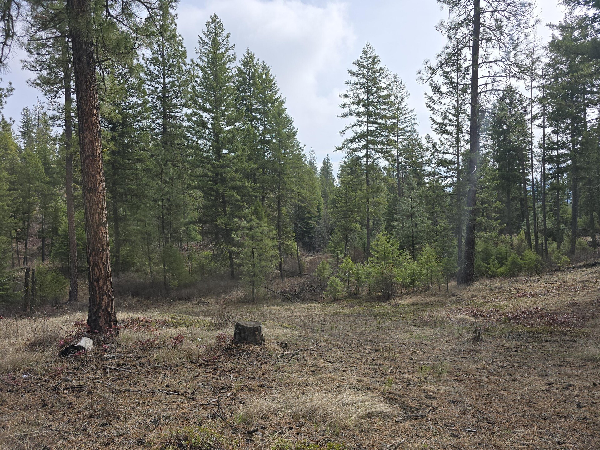 
                        Property photograph at
                        3XX GOLD CREEK RD
                      