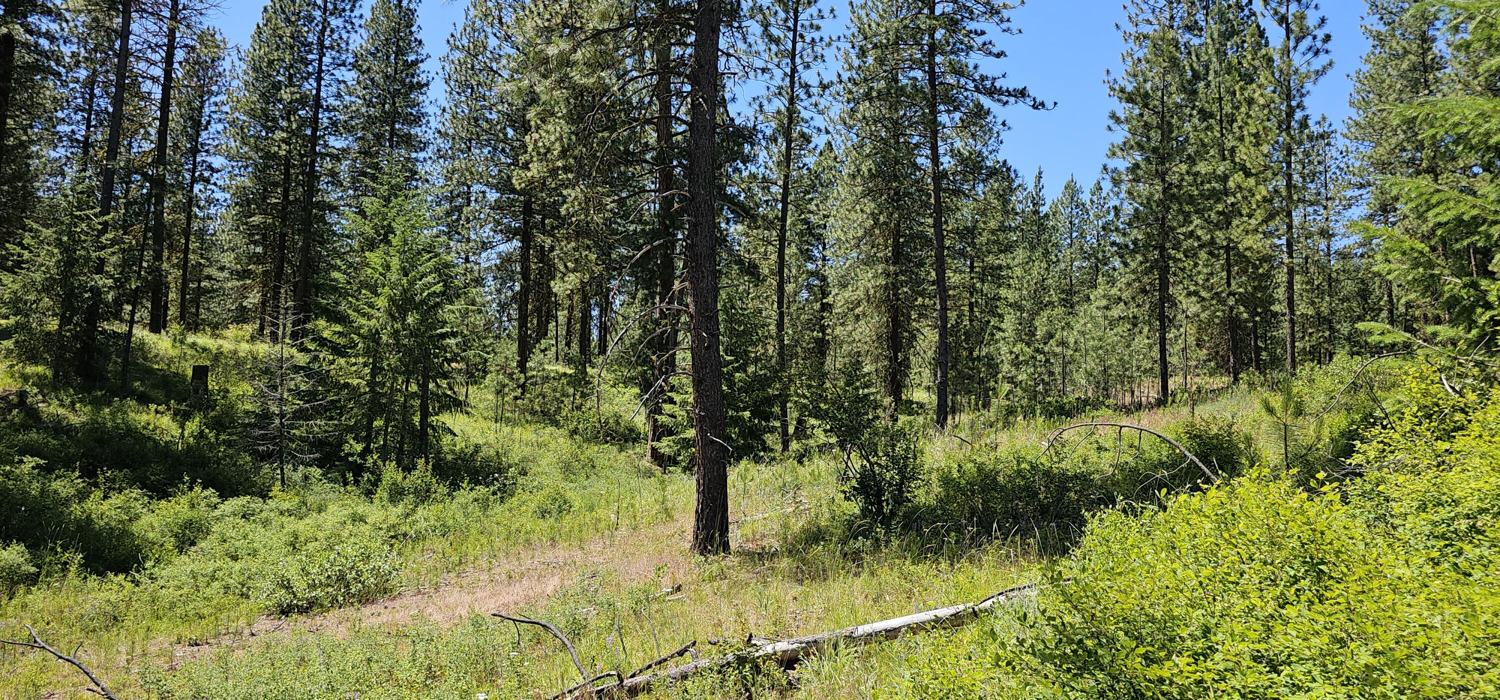 
                        Property photograph at
                        20X LYNX CREEK RD
                      