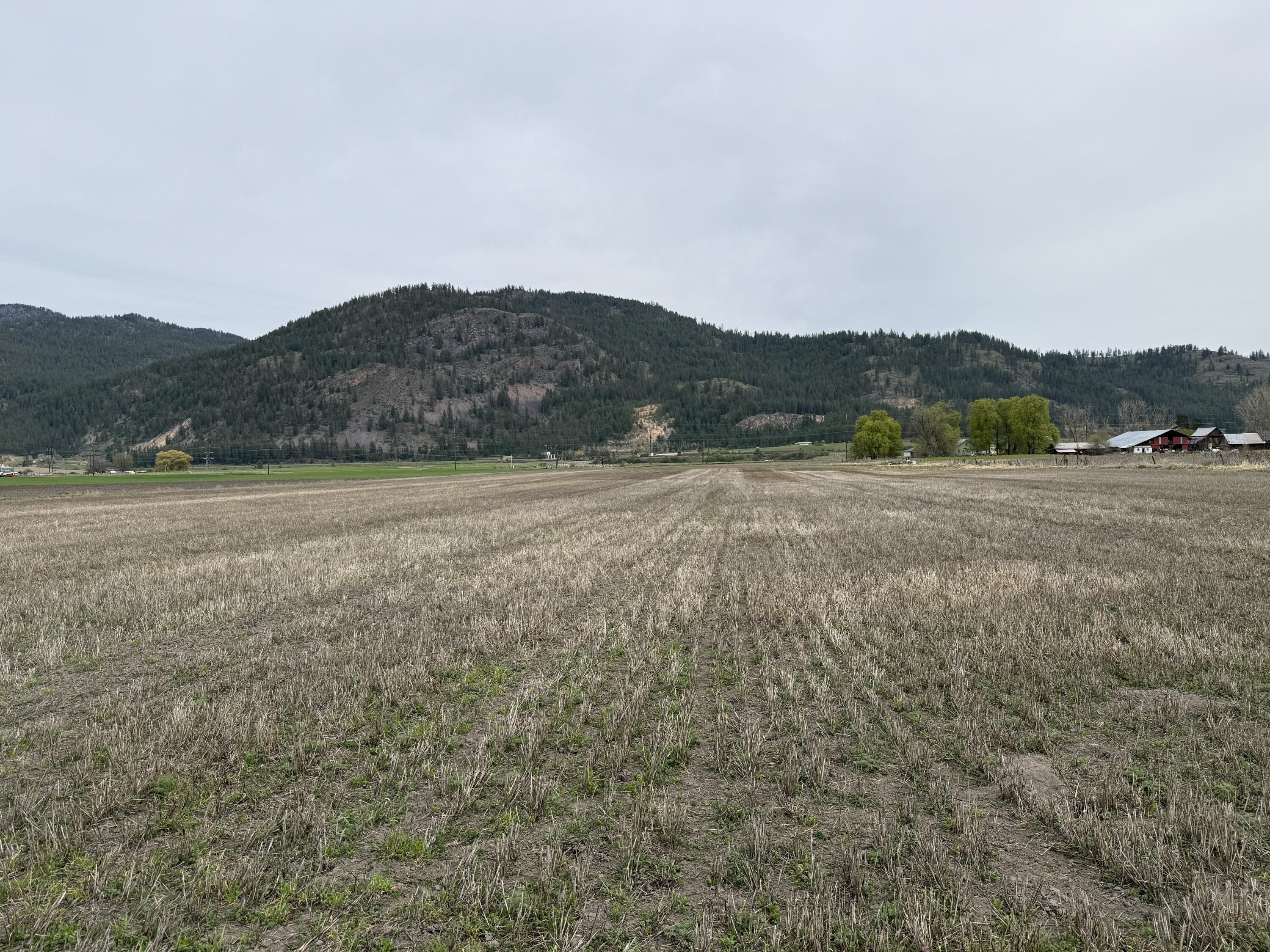 
                        Property photograph at
                        TBD ZIMMER RD
                      