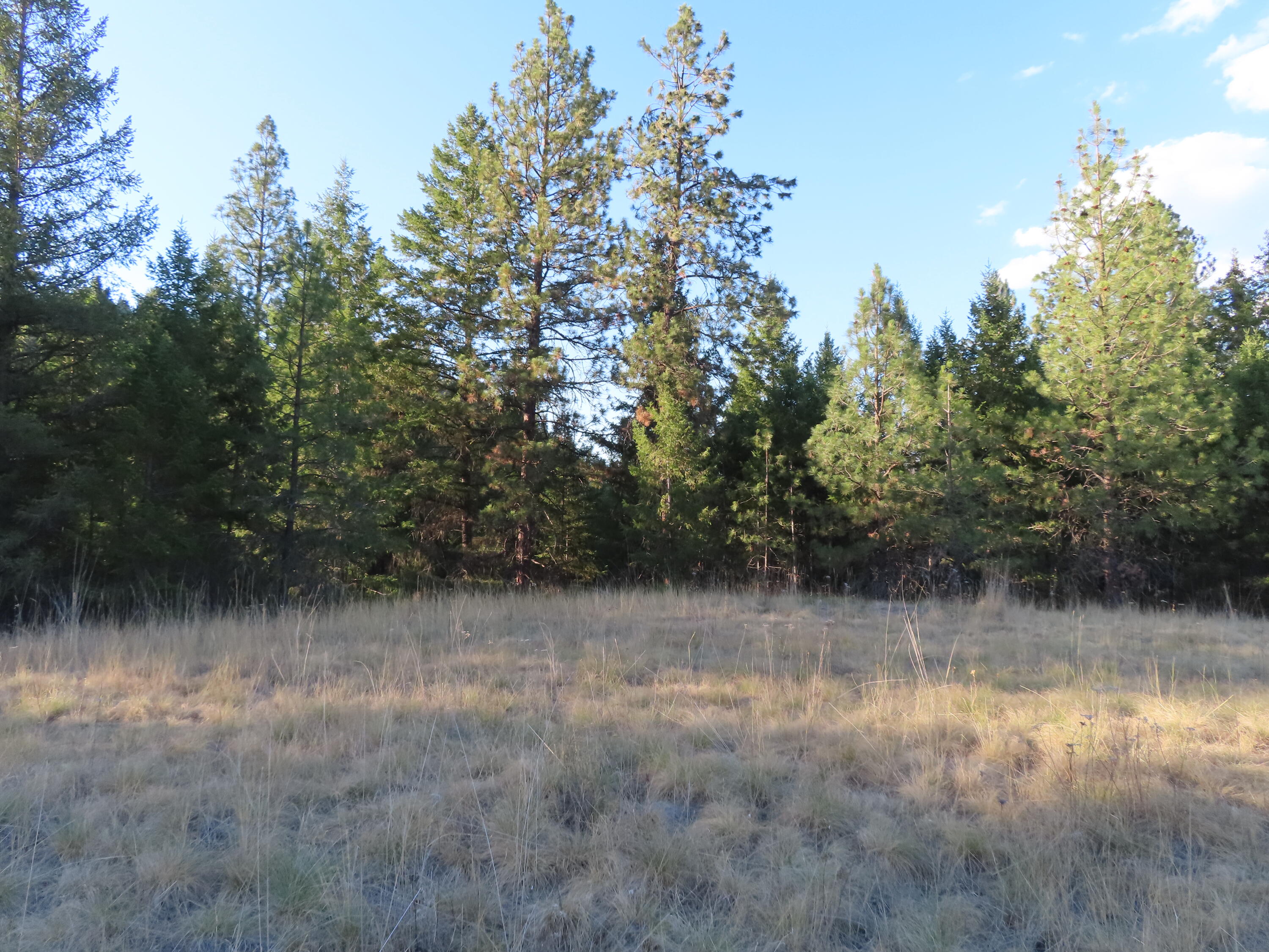 
                        Property photograph at
                        TBD TORODA CREEK RD
                      