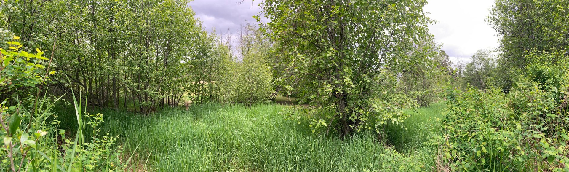 
                        Property photograph at
                        1496 E HWY 20 XX
                      