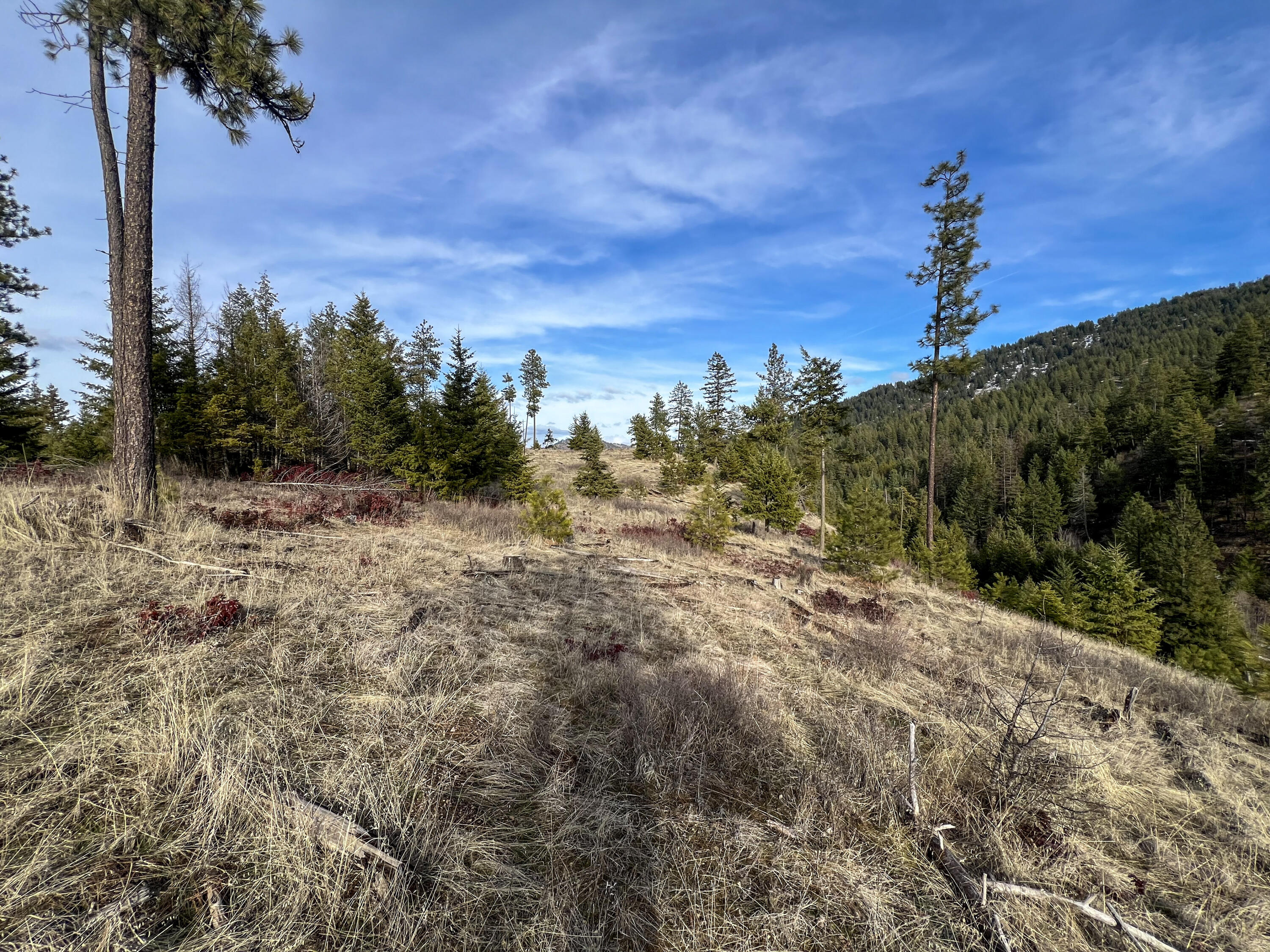 
                        Property photograph at
                        35XX HARMS WAY
                      