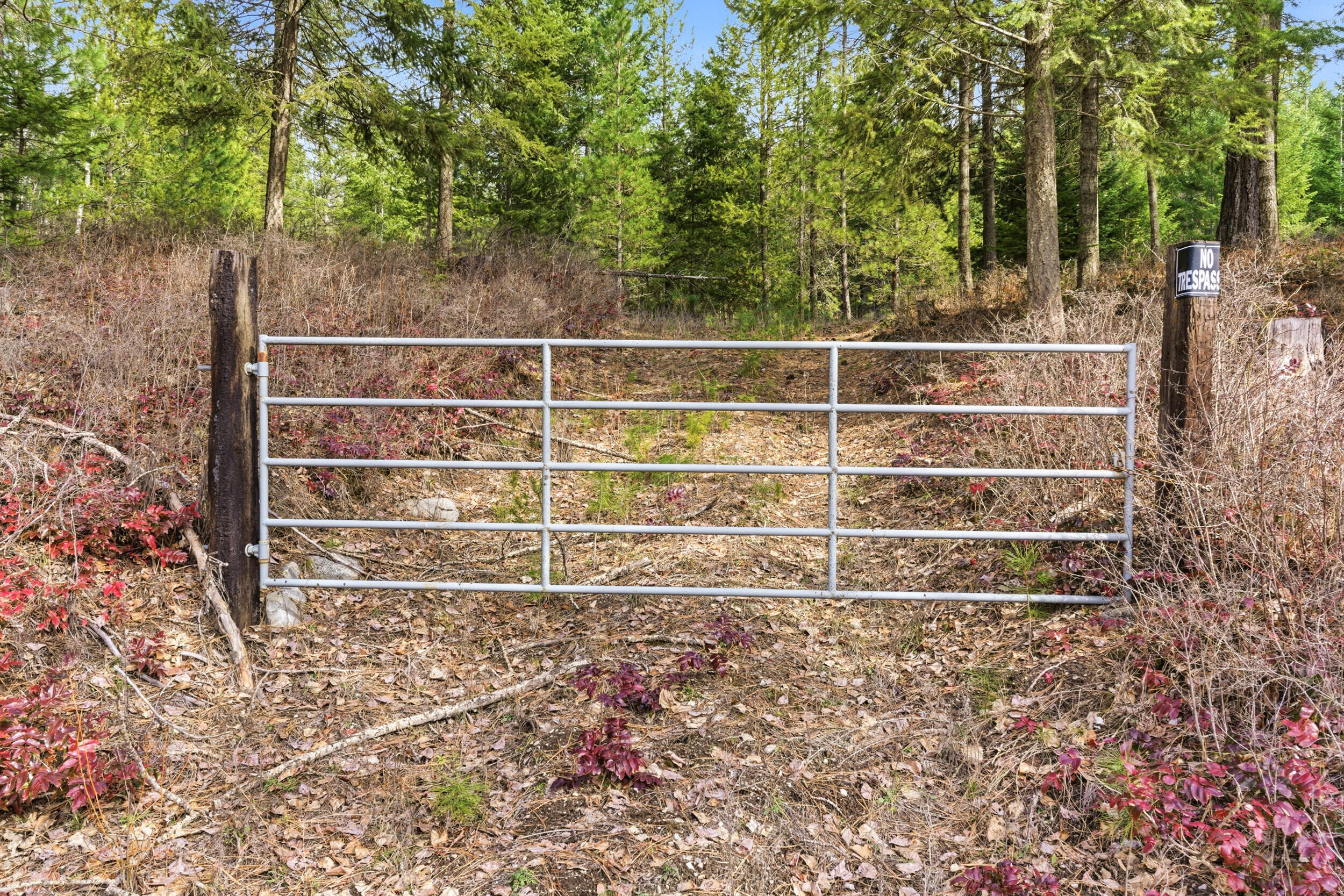 
                        Property photograph at
                        28XX BURNT VALLEY (80AC) RD
                      