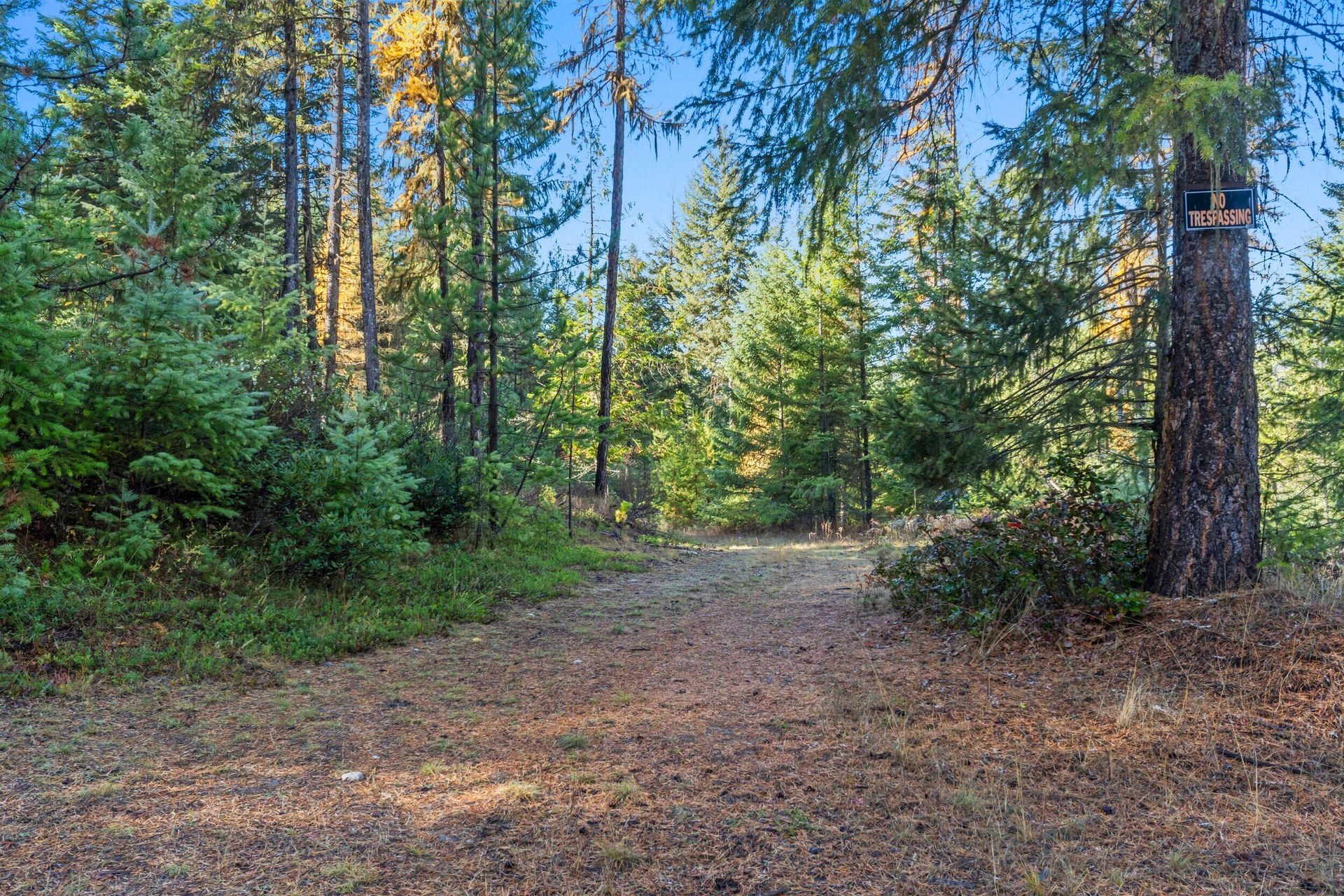 
                        Property photograph at
                        2094 CLUGSTON ONION CREEK RD
                      