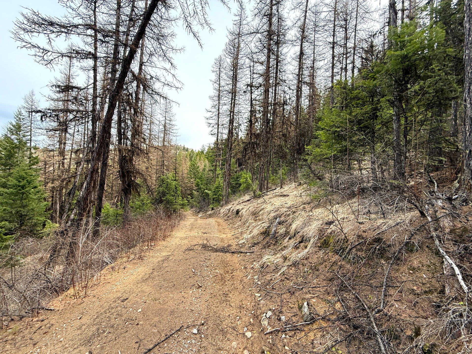 
                        Property photograph at
                        TBD GIVEOUT CREEK RD
                      