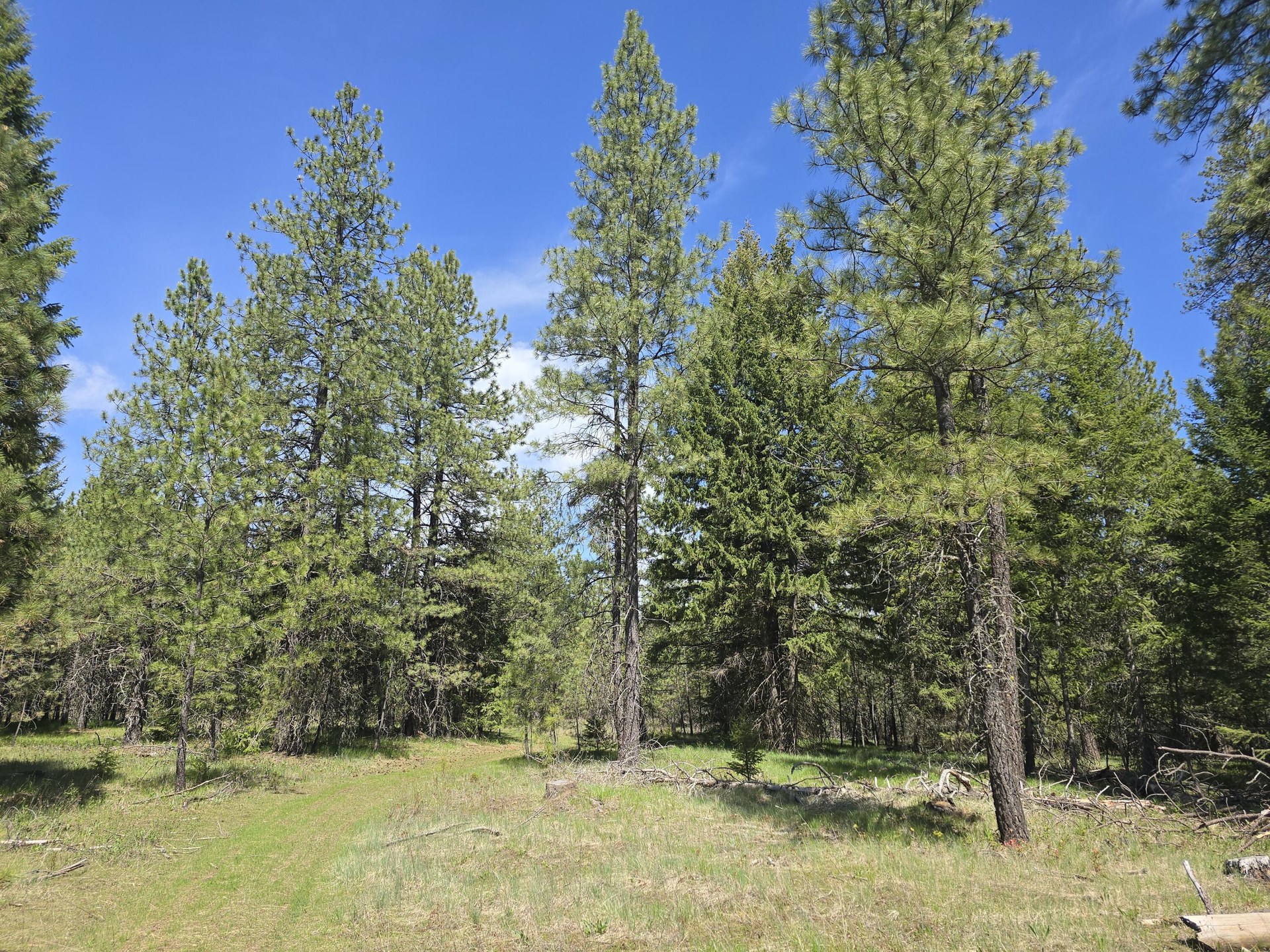 
                        Property photograph at
                        XXX W OREGON RD
                      