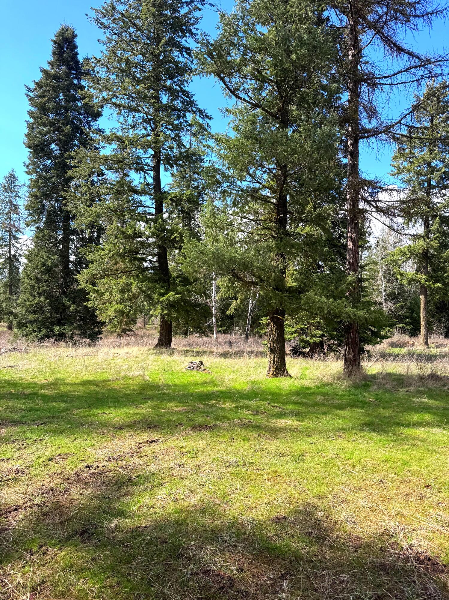 
                        Property photograph at
                        2XXX BLK E ELOIKA LAKE RD
                      