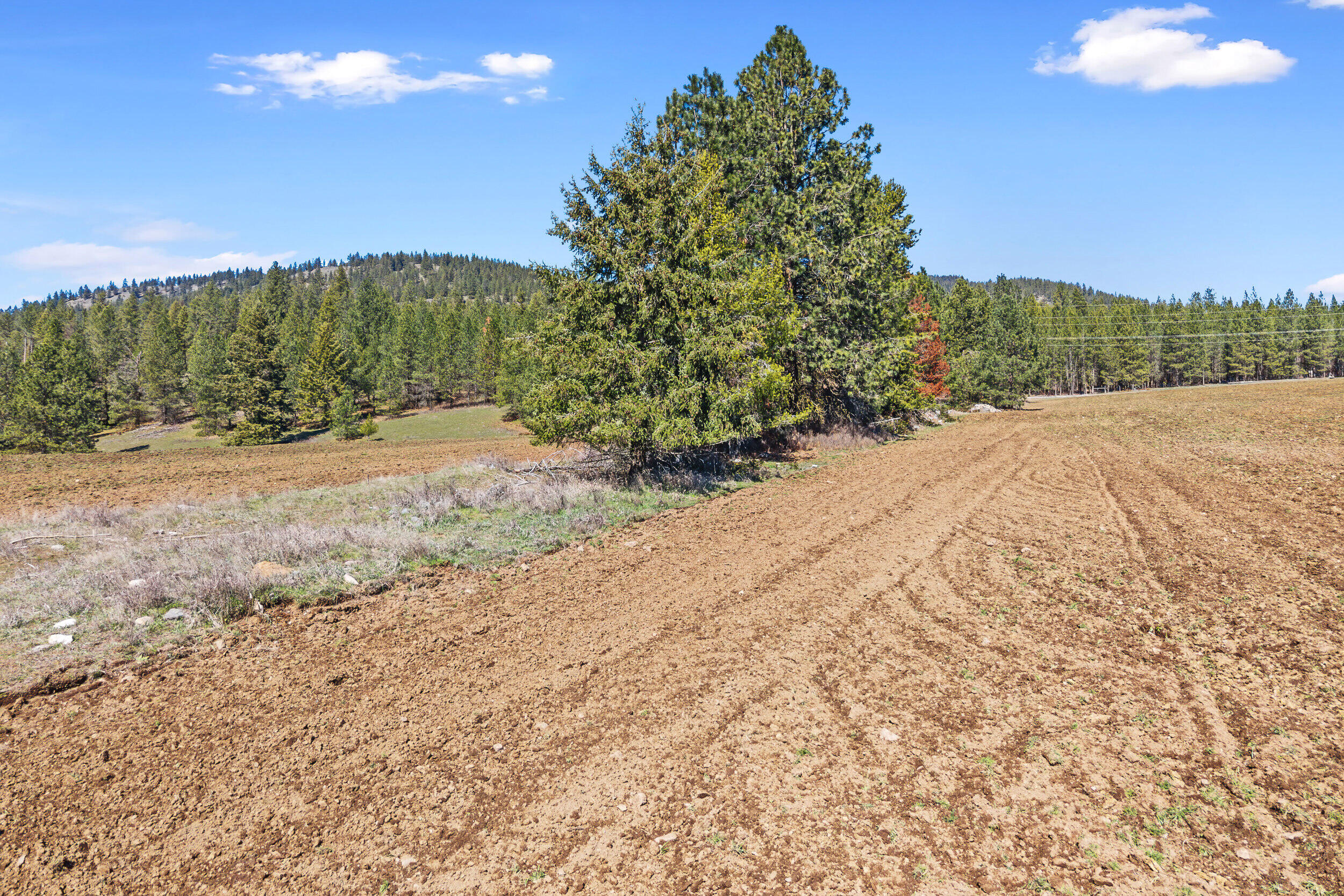
                        Property photograph at
                        2068 ADDY-GIFFORD RD
                      