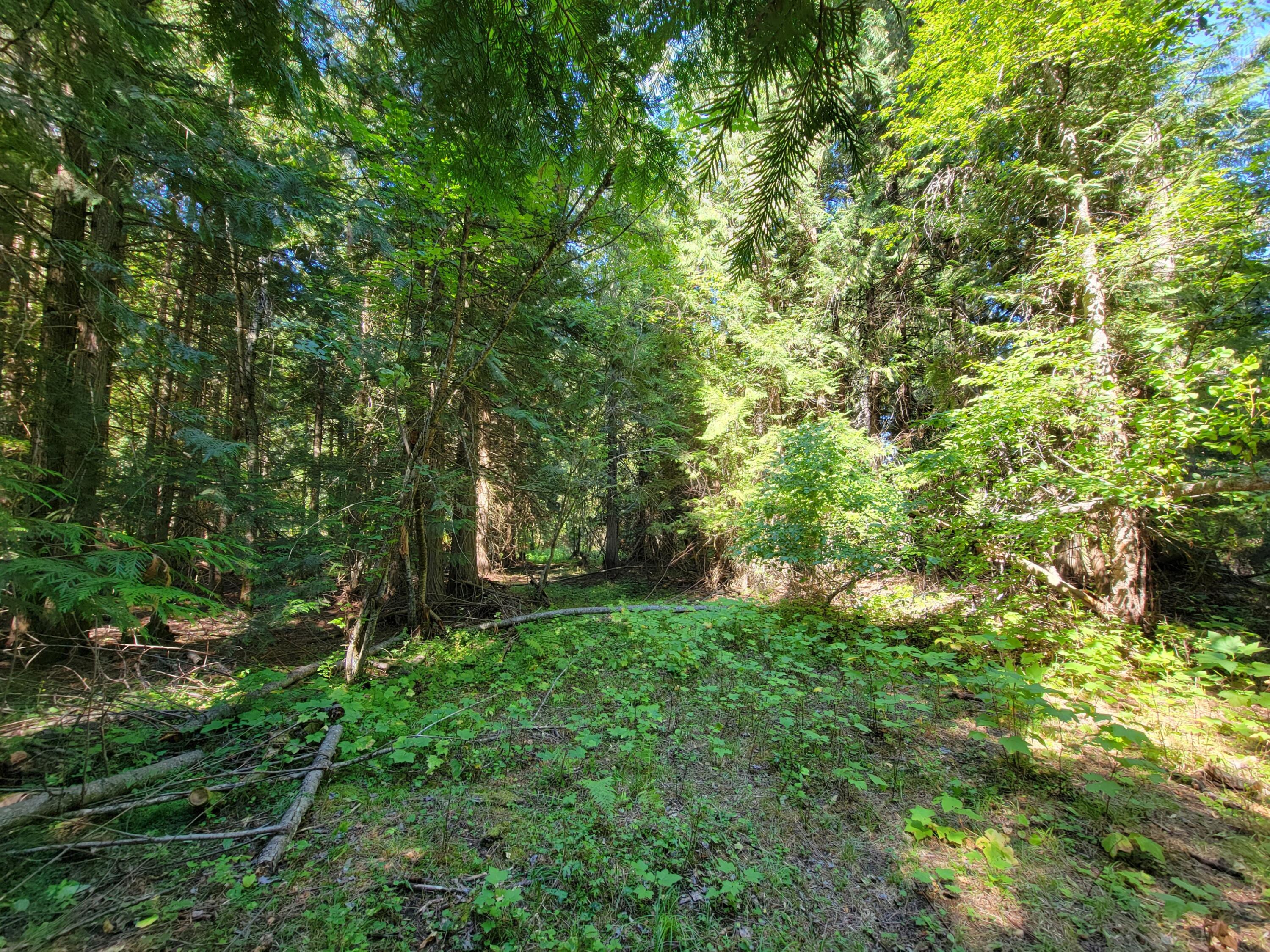 
                        Property photograph at
                        TBD LONE RANCH RD
                      