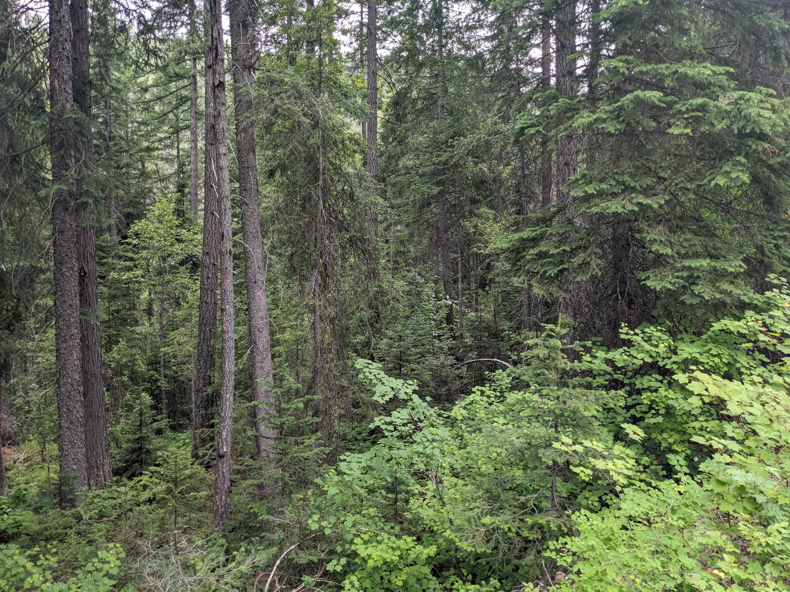 
                        Property photograph at
                        TBD BIA RD. 56
                      