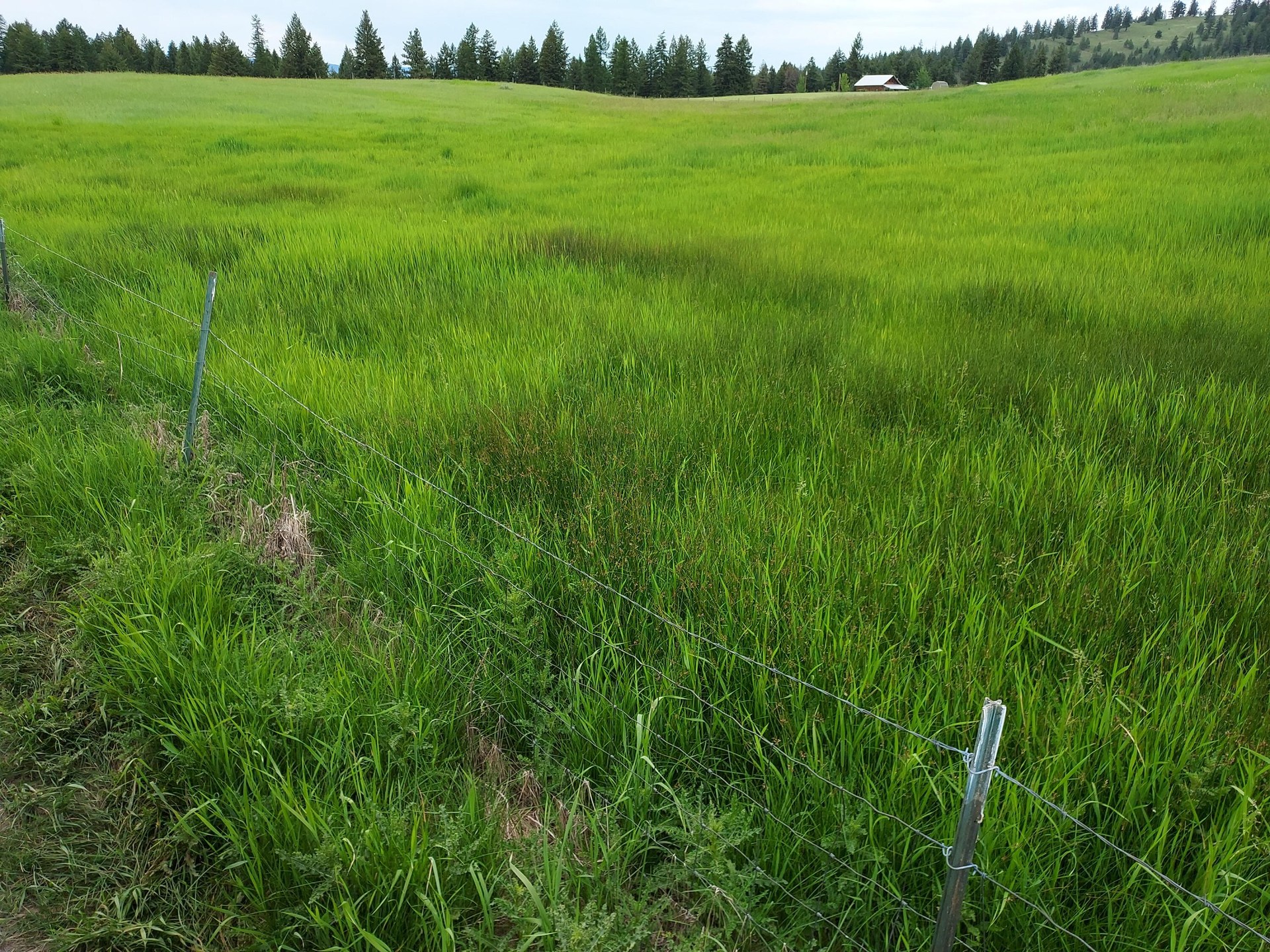 
                        Property photograph at
                        37 OLD RANCH HOUSE ROAD  (LOT 1 )
                      