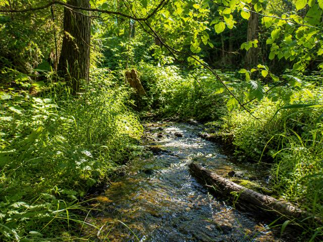 
                        Property photograph at
                        3121 FIFTEEN MILE CREEK RD
                      