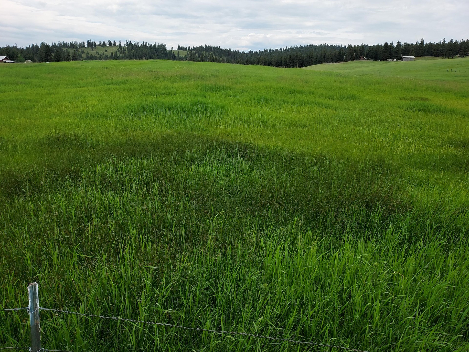 
                        Property photograph at
                        37 OLD RANCH HOUSE ROAD  (LOT 1 )
                      