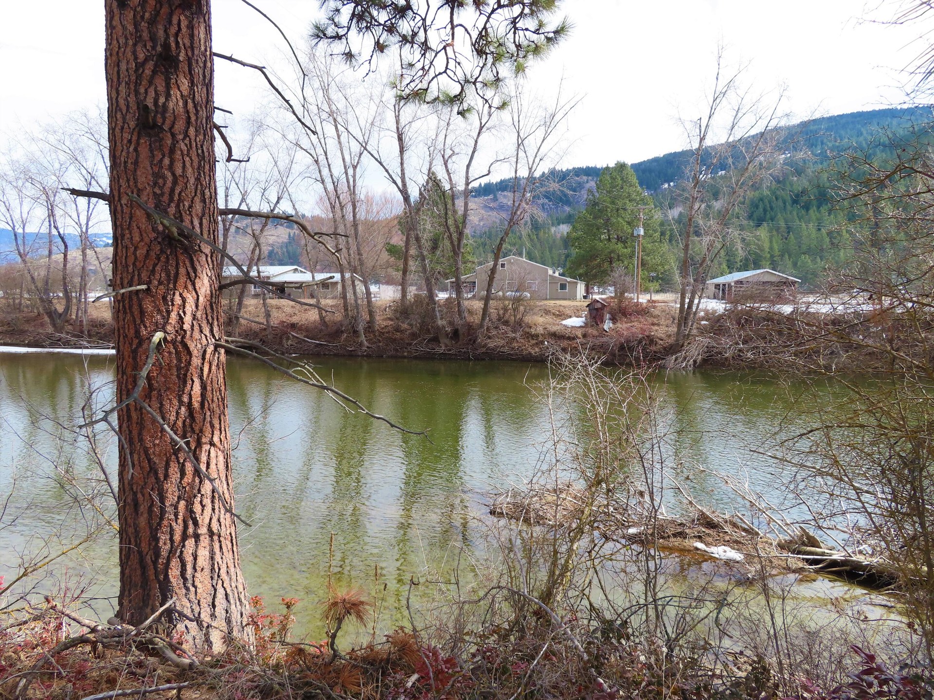 
                        Property photograph at
                        TBD HIGHWAY 21 N
                      
