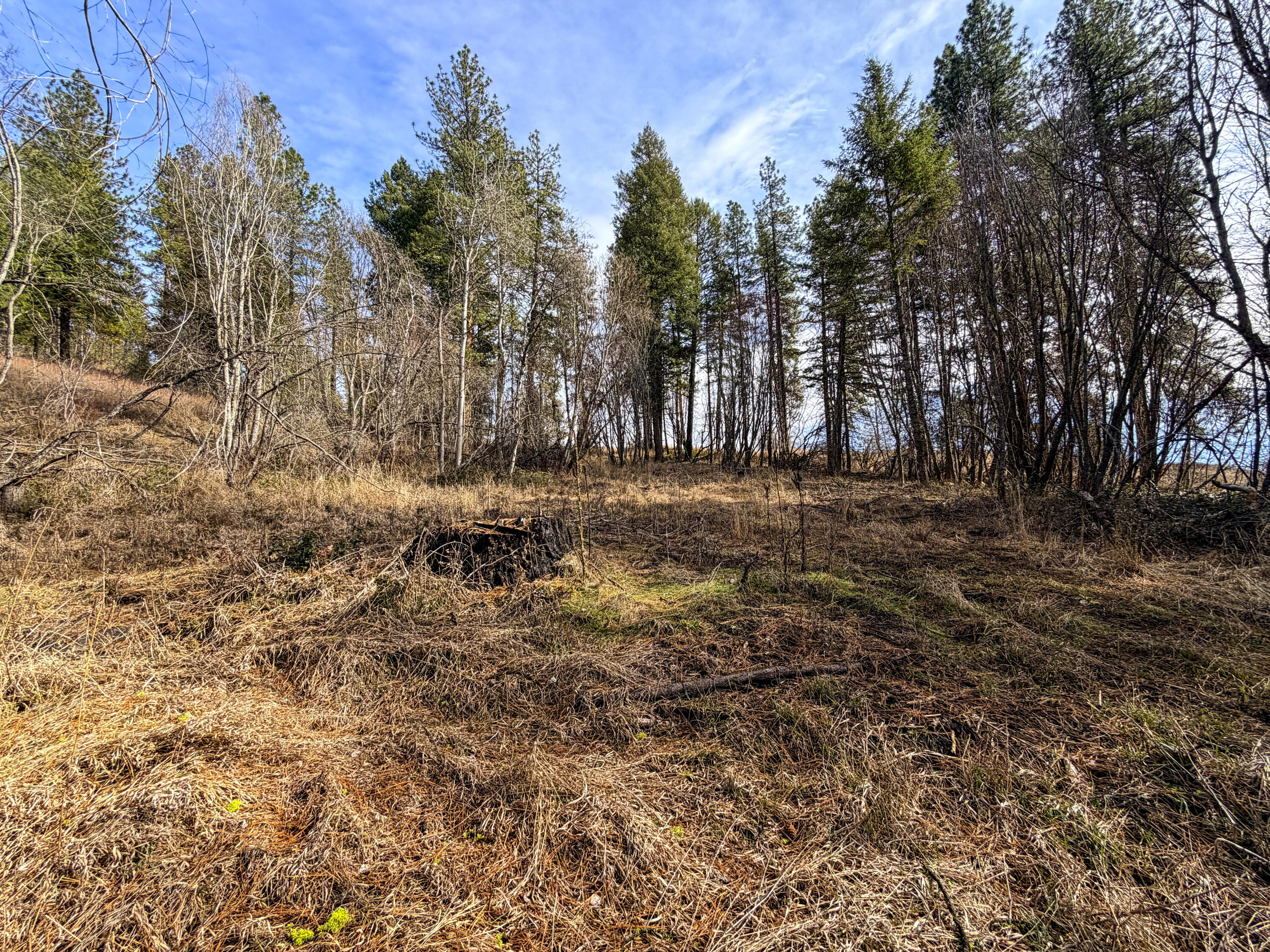 
                        Property photograph at
                        2897 MCNITT RD
                      