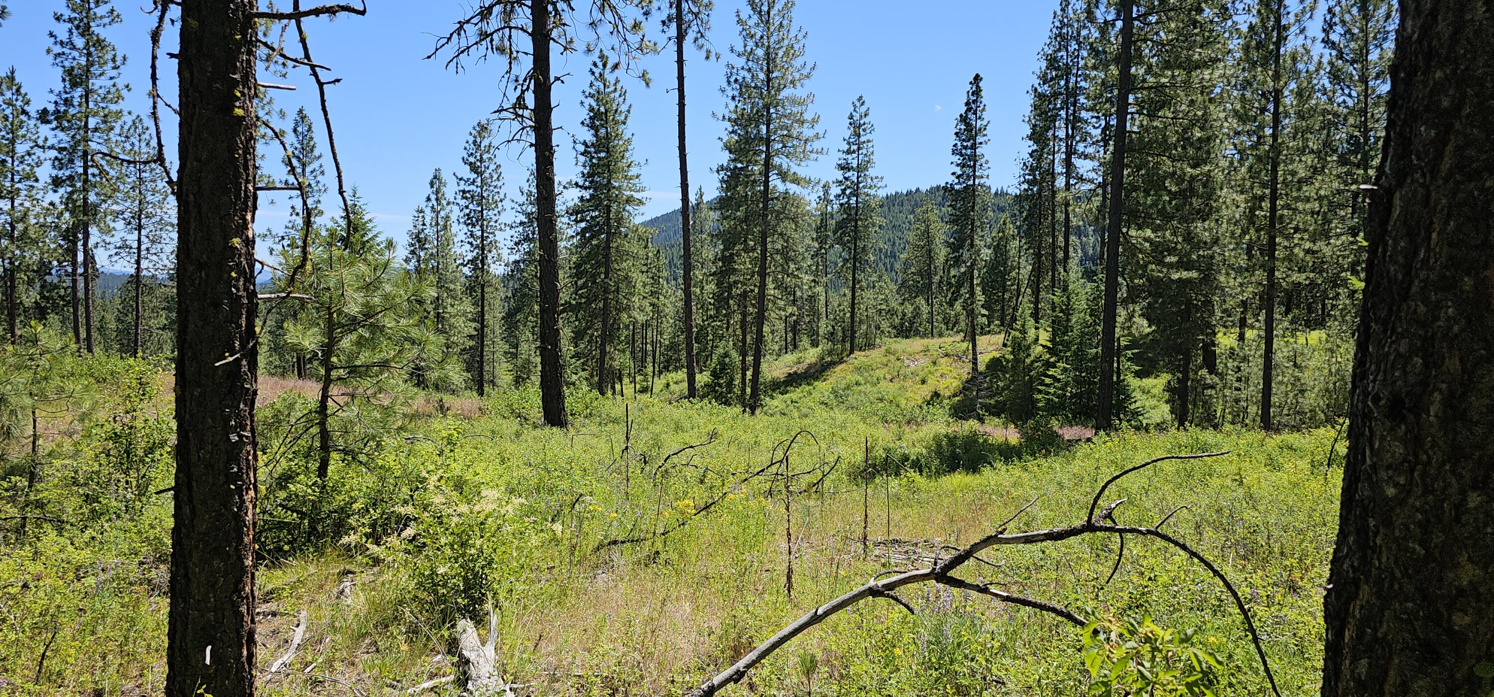 
                        Property photograph at
                        20X LYNX CREEK RD
                      
