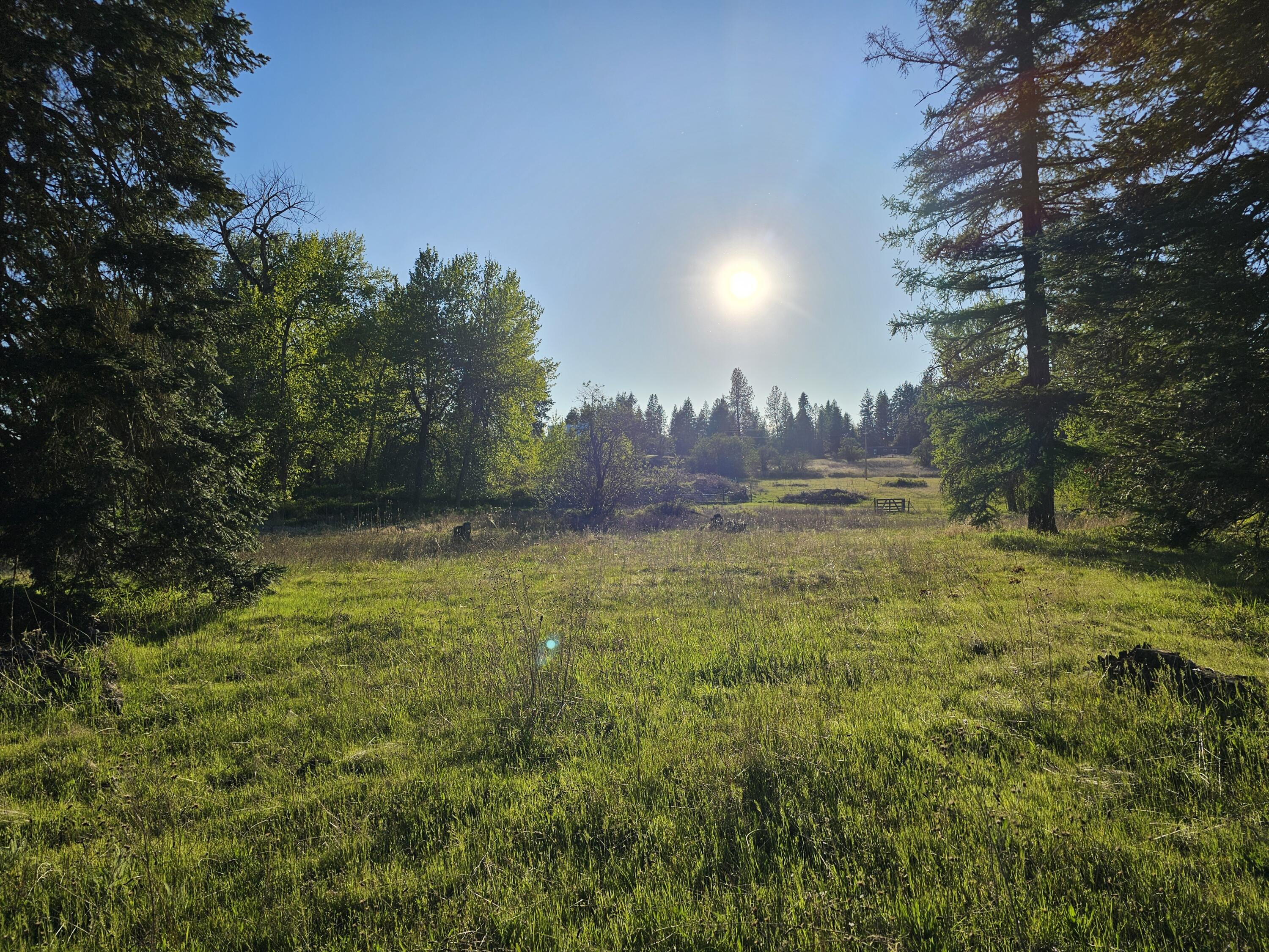 
                        Property photograph at
                        2XXX BLK E ELOIKA LAKE RD
                      