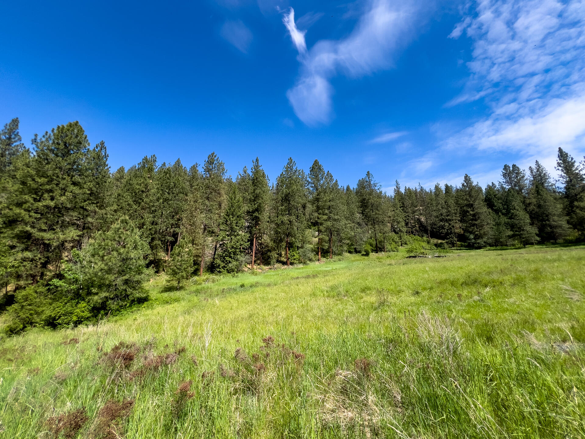 
                        Property photograph at
                        1763-I U.S. 395
                      