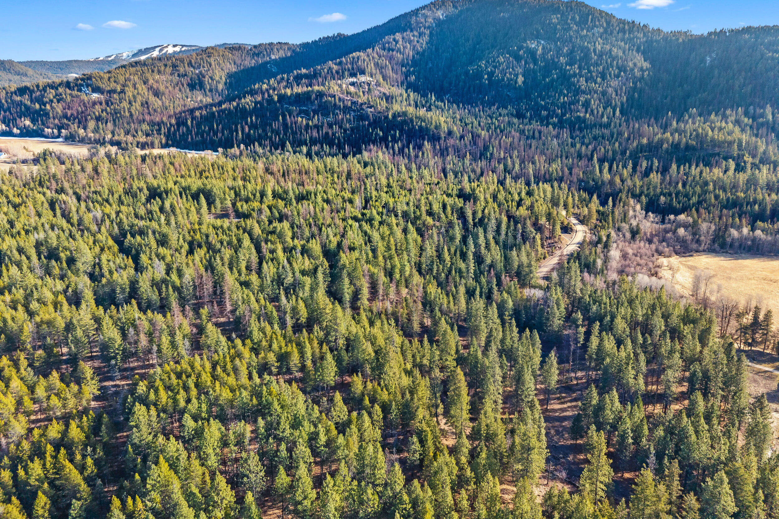 
                        Property photograph at
                        2845 BURNT VALLEY (18.5AC) RD
                      