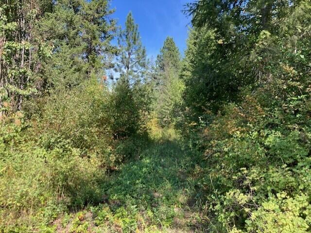 
                        Property photograph at
                        2462X WA-25 HWY
                      