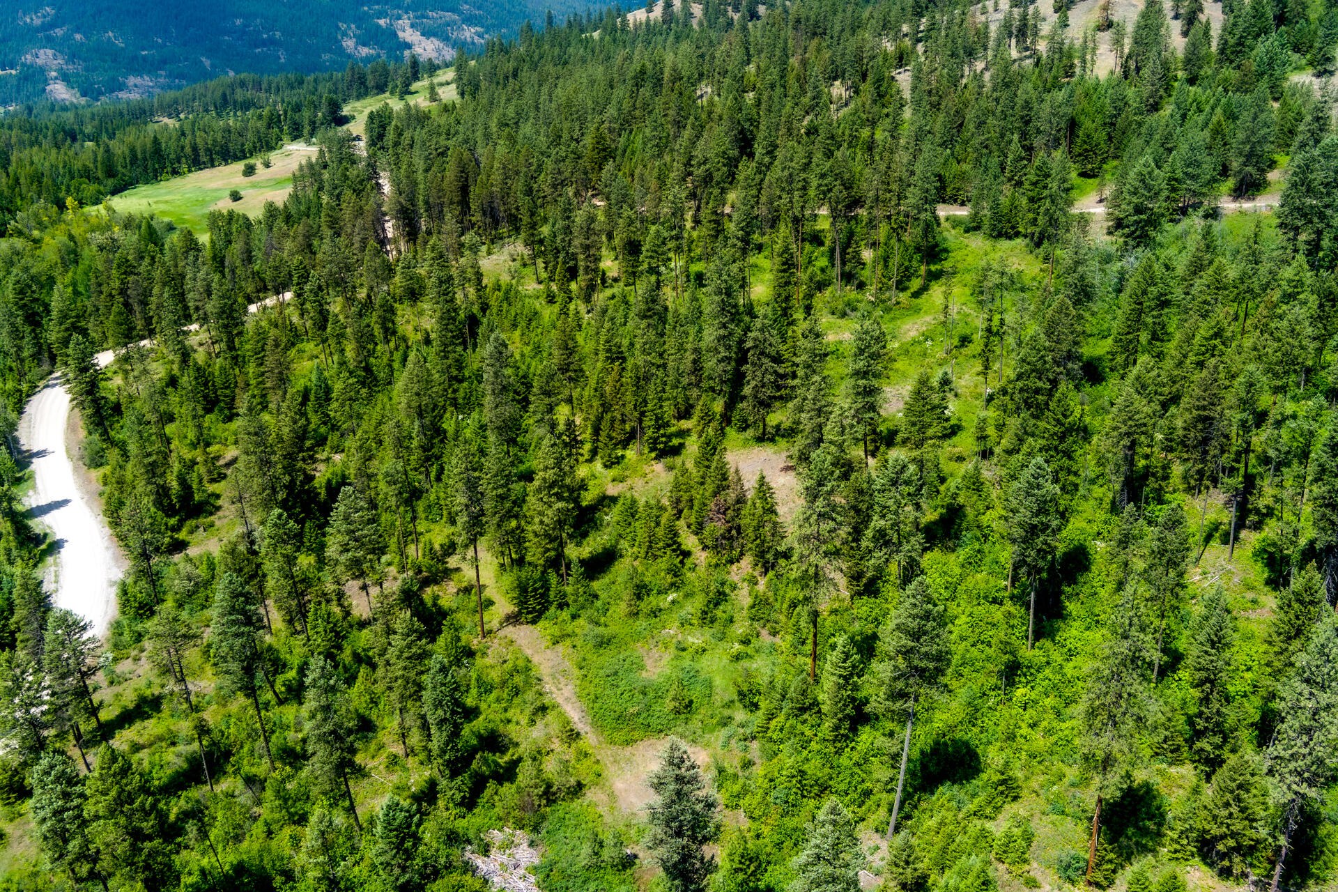 
                        Property photograph at
                        3124 ORIENT CUTOFF RD
                      