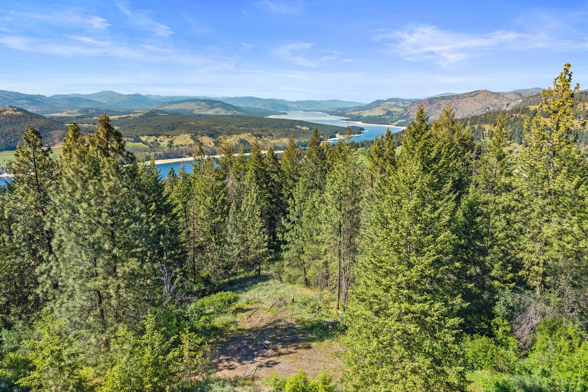 
                        Property photograph at
                        41XX BISSEL RD
                      