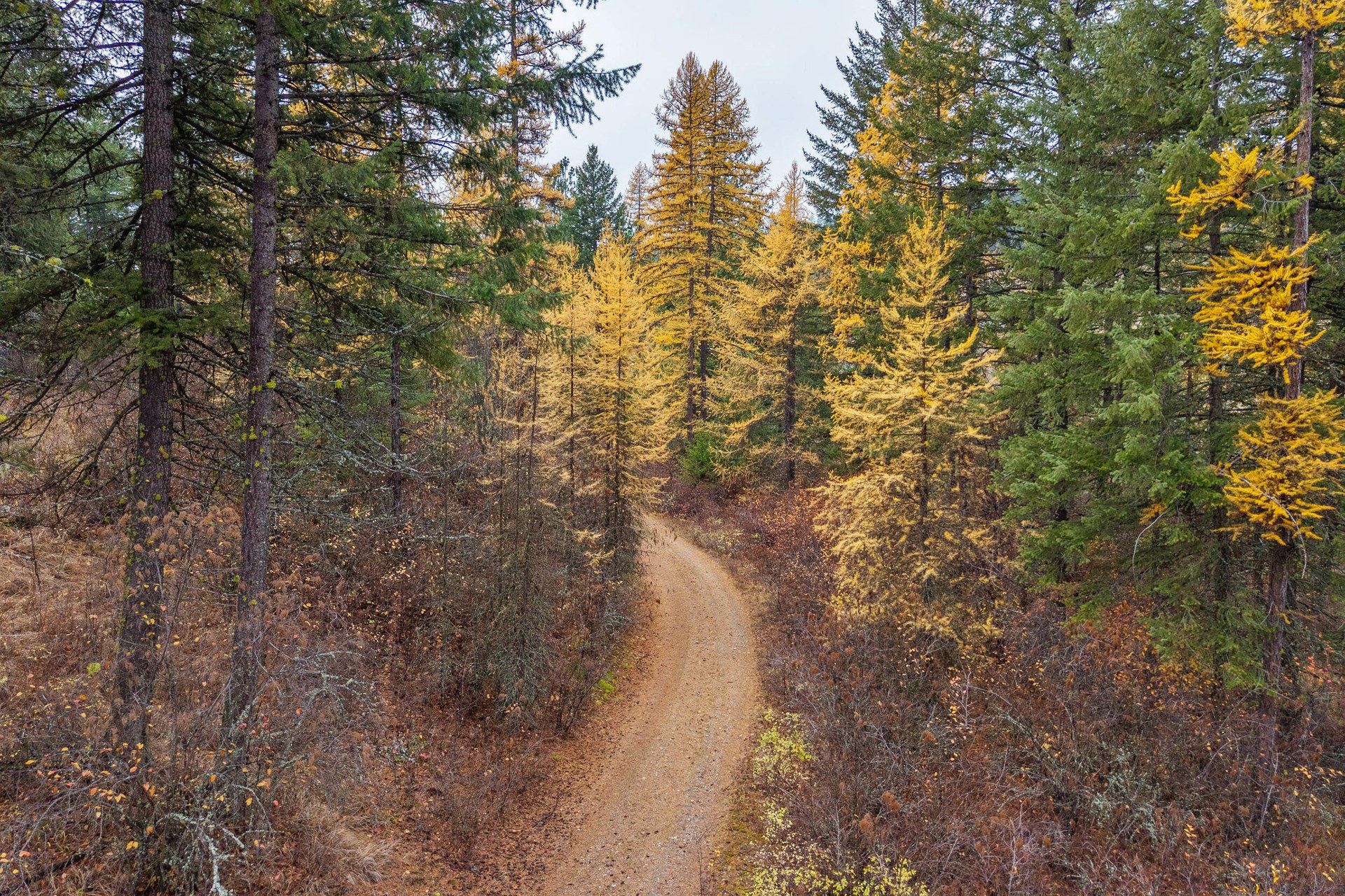 
                        Property photograph at
                        700 DRY GULCH RD
                      