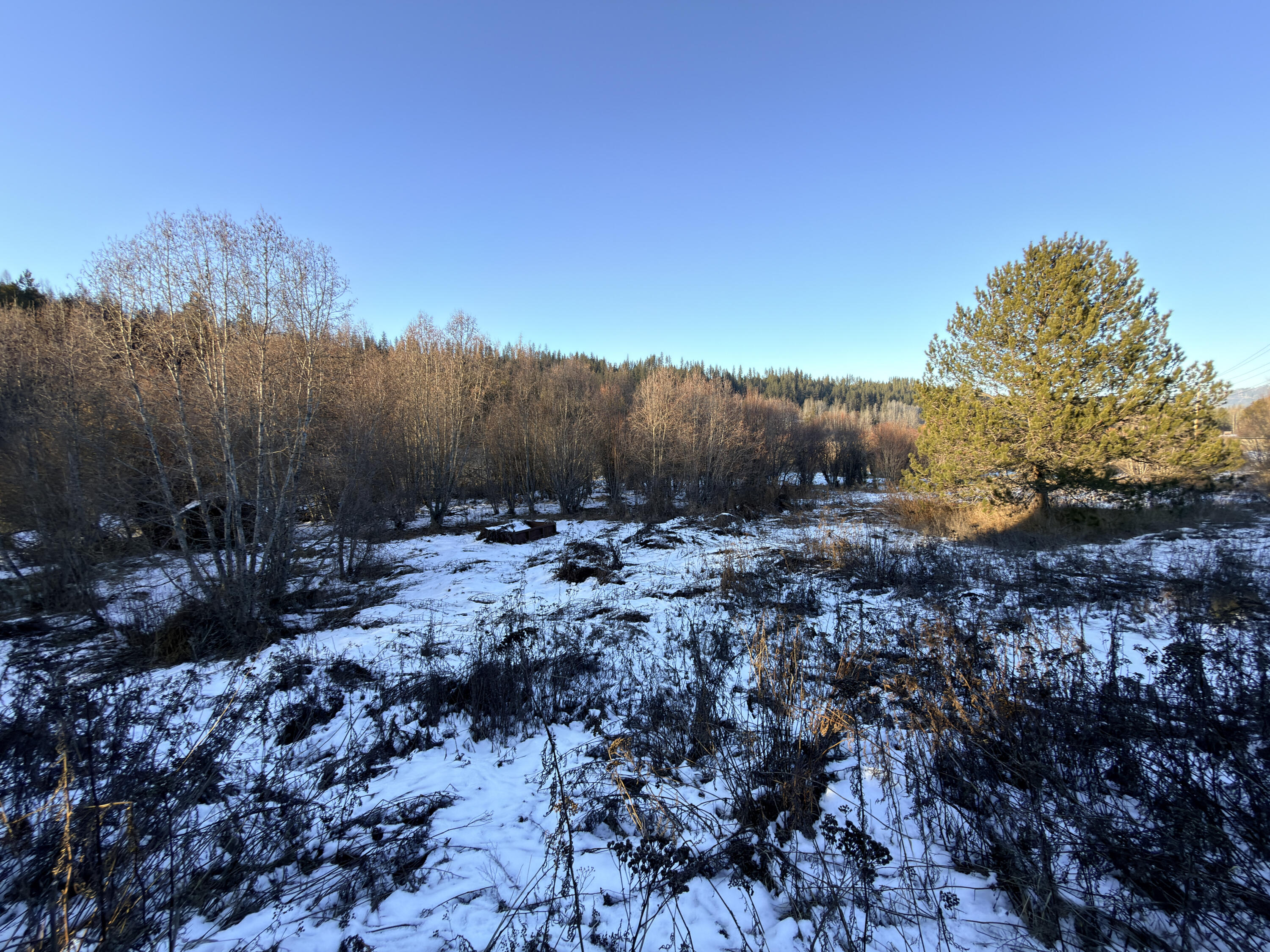 
                        Property photograph at
                        331861 HIGHWAY 2
                      