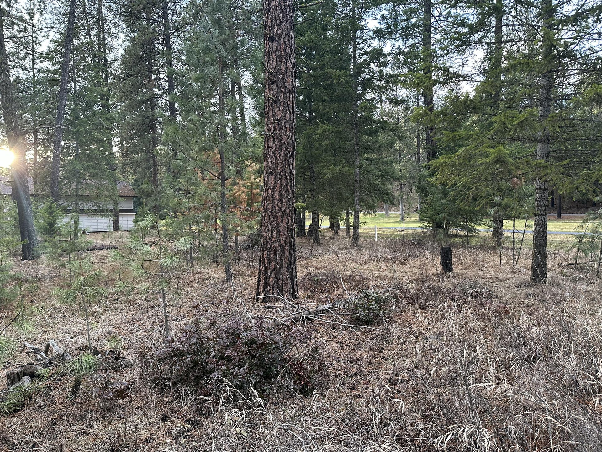 
                        Property photograph at
                        102 W TRAPPERS LOOP
                      