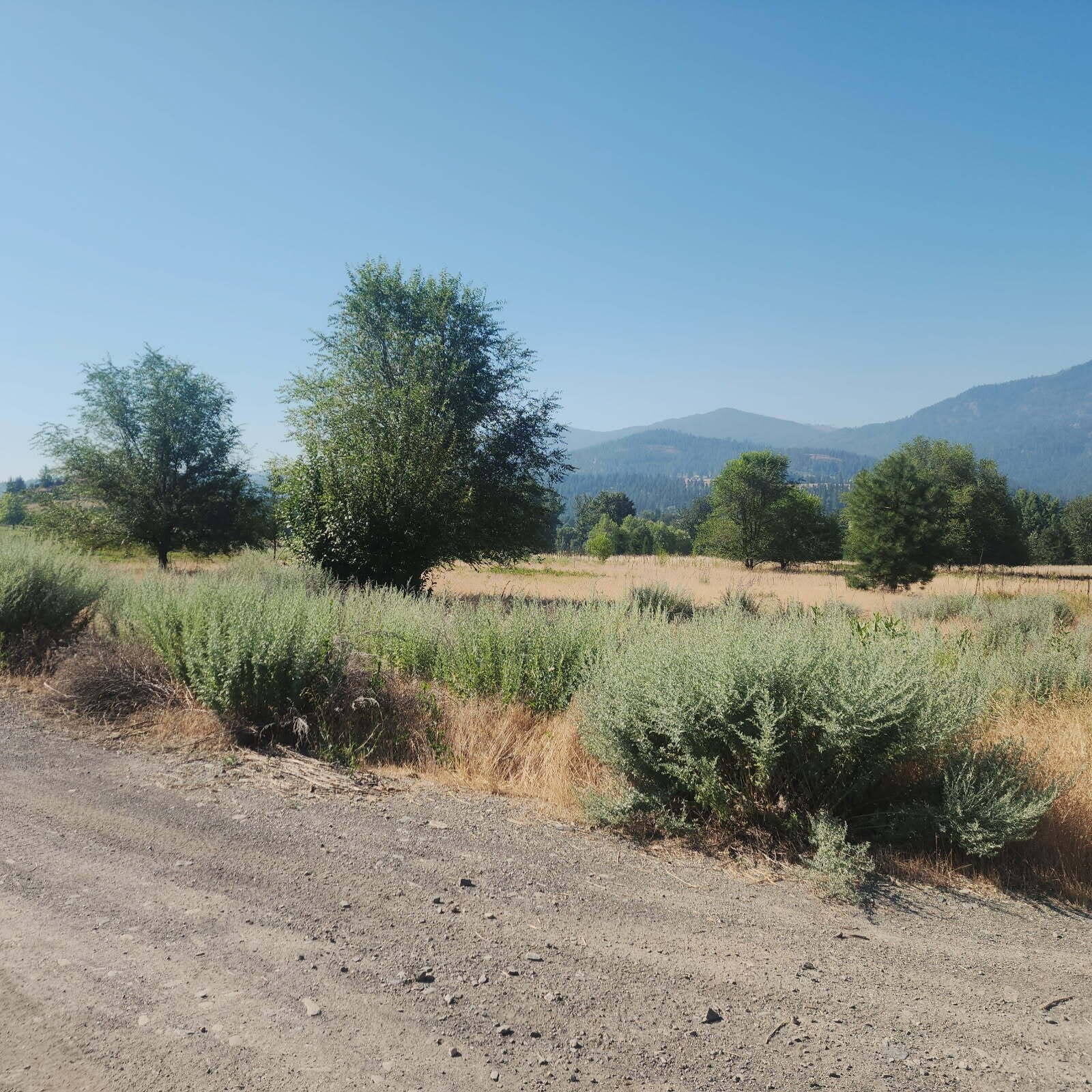 
                        Property photograph at
                        XXX HWY 395
                      